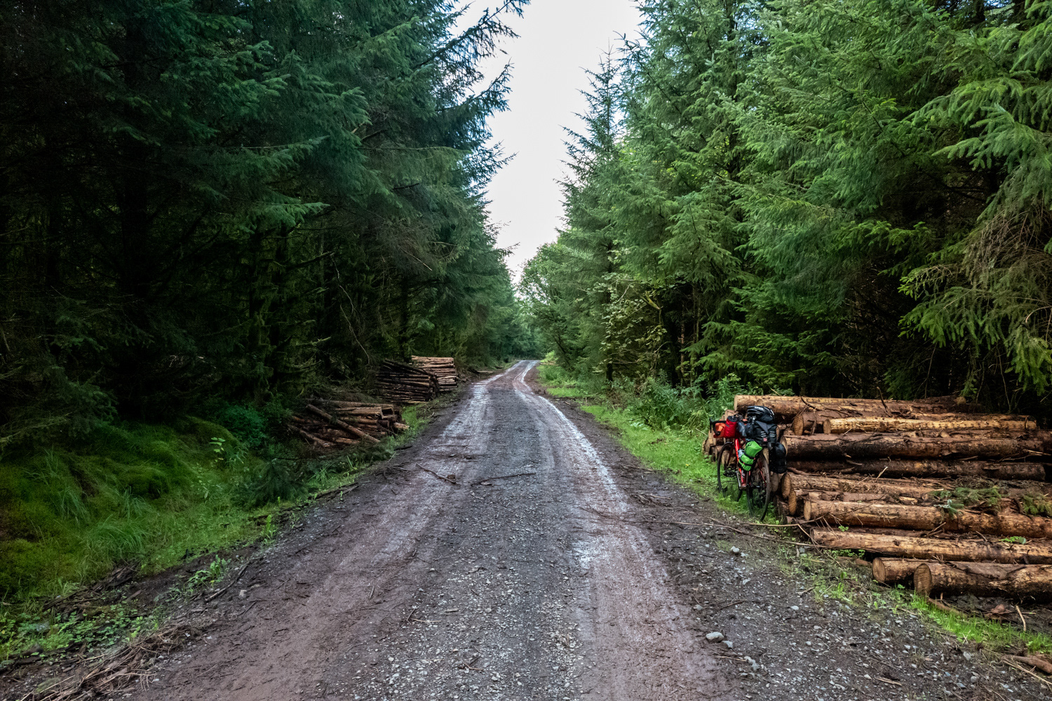Forestry road near Pontsticill Reservoir, Merthyr Tydfil, Wales. Image © Nik van Herpt