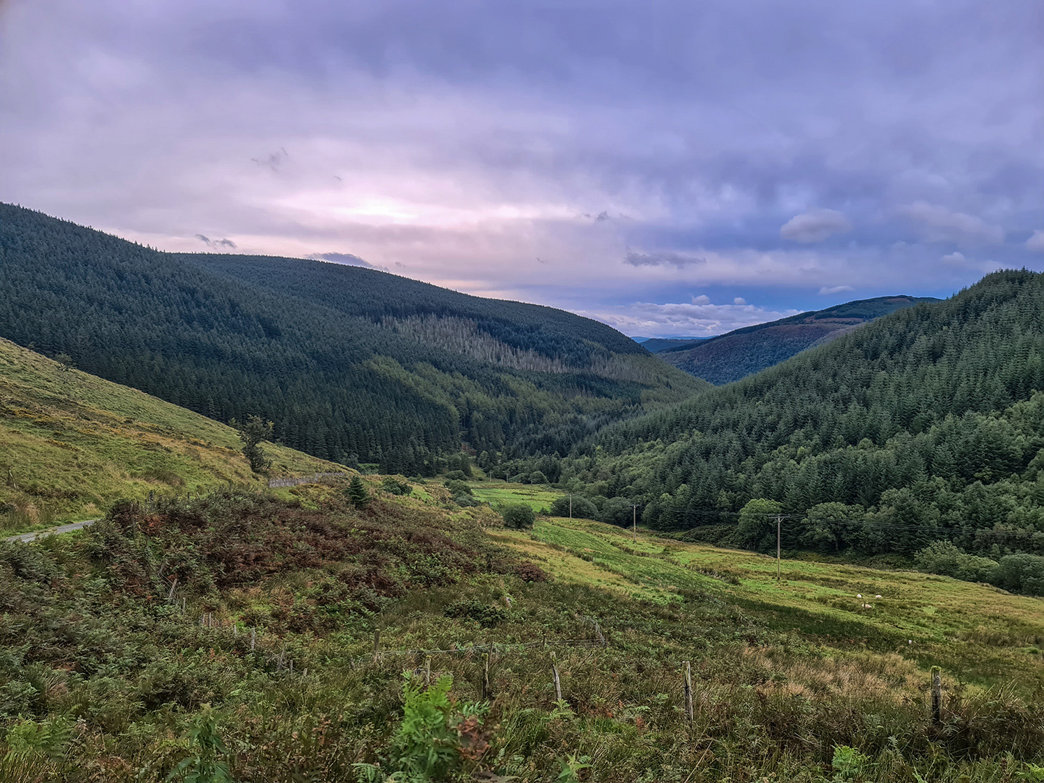 Top of hill between Aberllefenni and Dolgellau, Wales. Image © Nik van Herpt