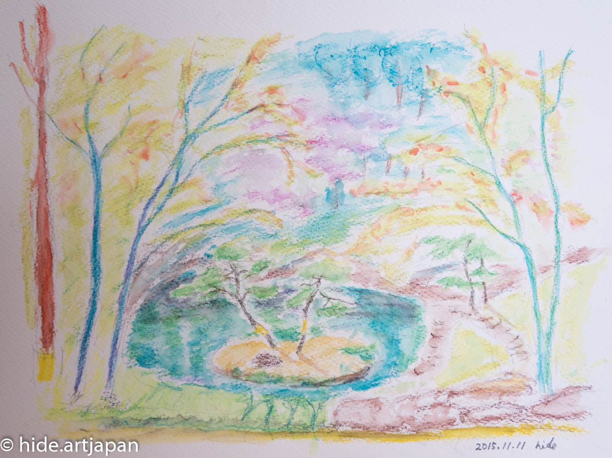 pond in the park