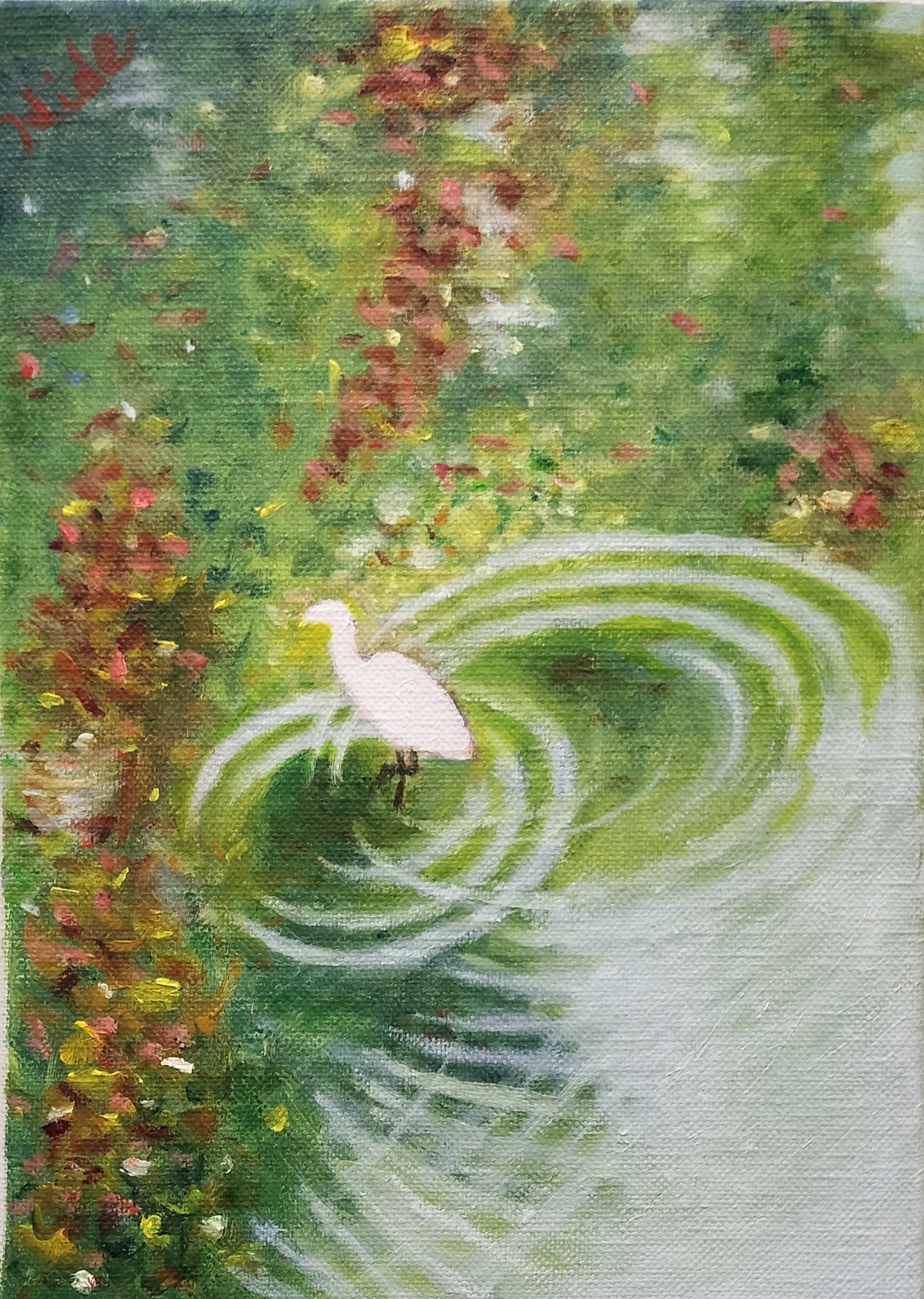 little egret 2024