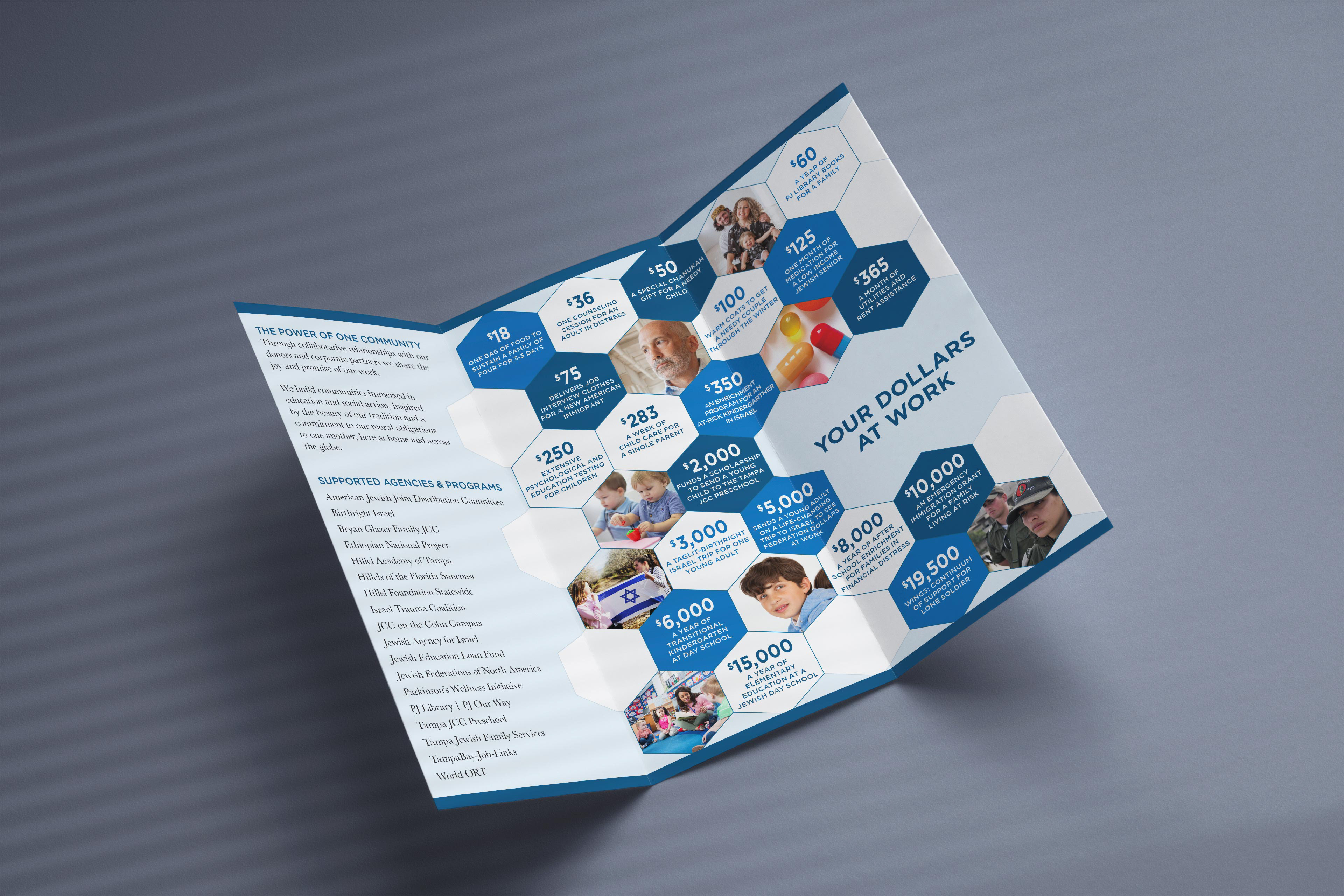 Tampa JCCs & Federation Your Dollars At Work Trifold 2