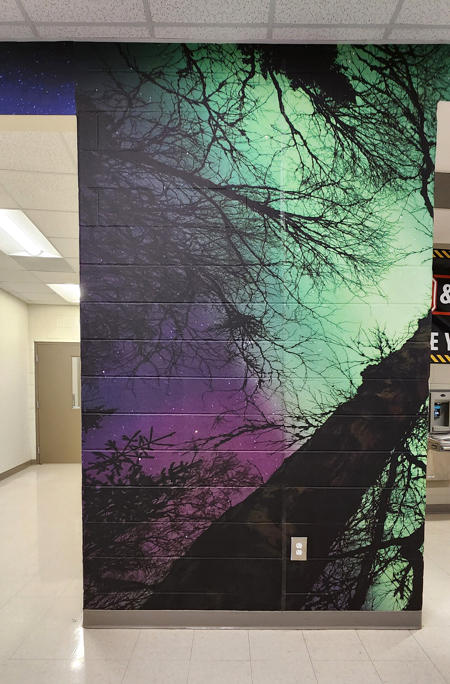 A floor-to-ceiling adhesive vinyl wall mural in a hallway. The mural features an image of the sky at night viewed from beneath a canopy of trees with the northern lights above. 