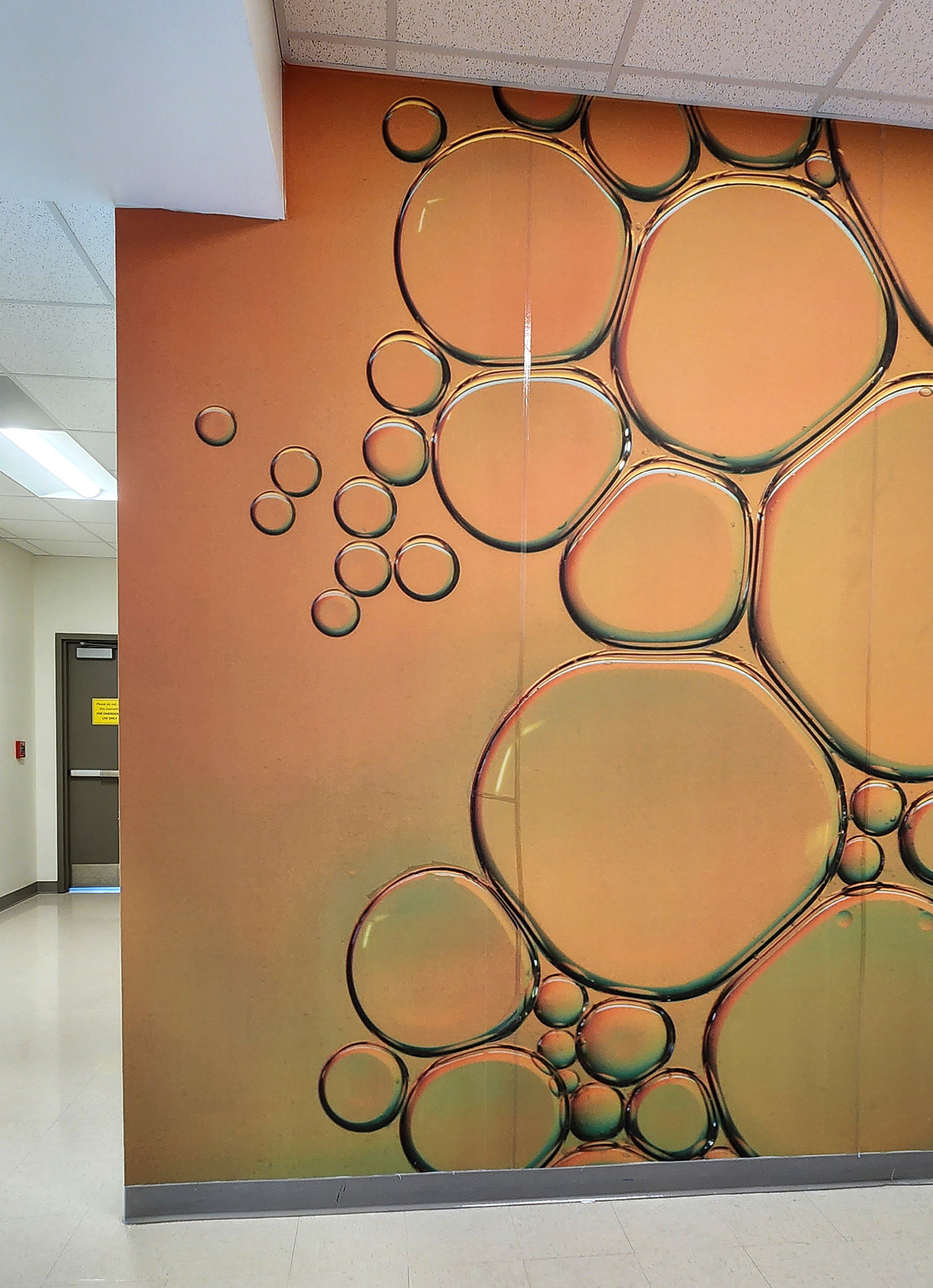 A floor-to-ceiling adhesive vinyl wall mural in a hallway, located to the right of an intersecting hallway. The mural features bubbles against an orange background with green shading. 