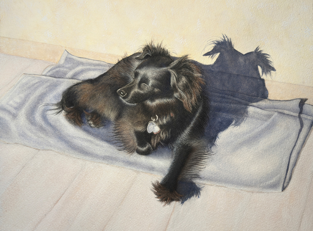 Watercolor painting of black dog relaxing