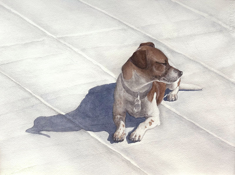 Watercolor painting of dog relaxing