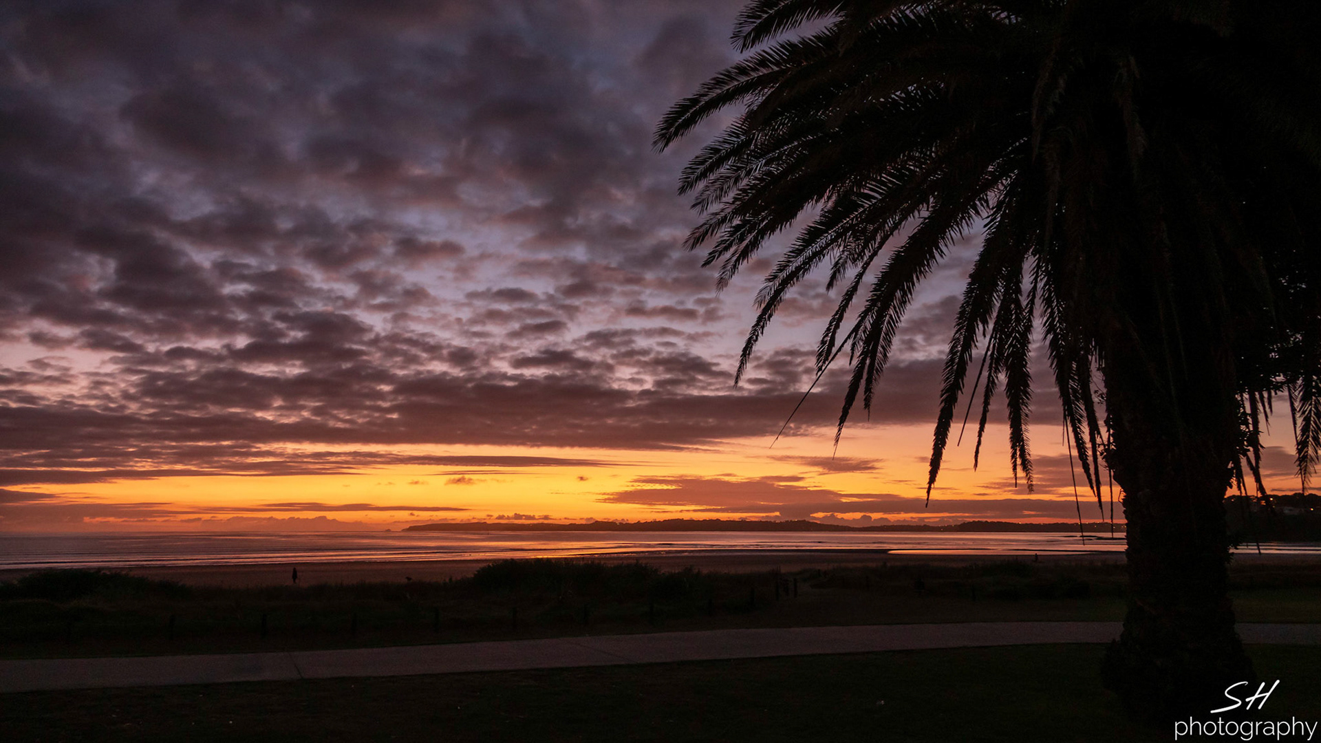 Blue Hour over Hauraki Gulf