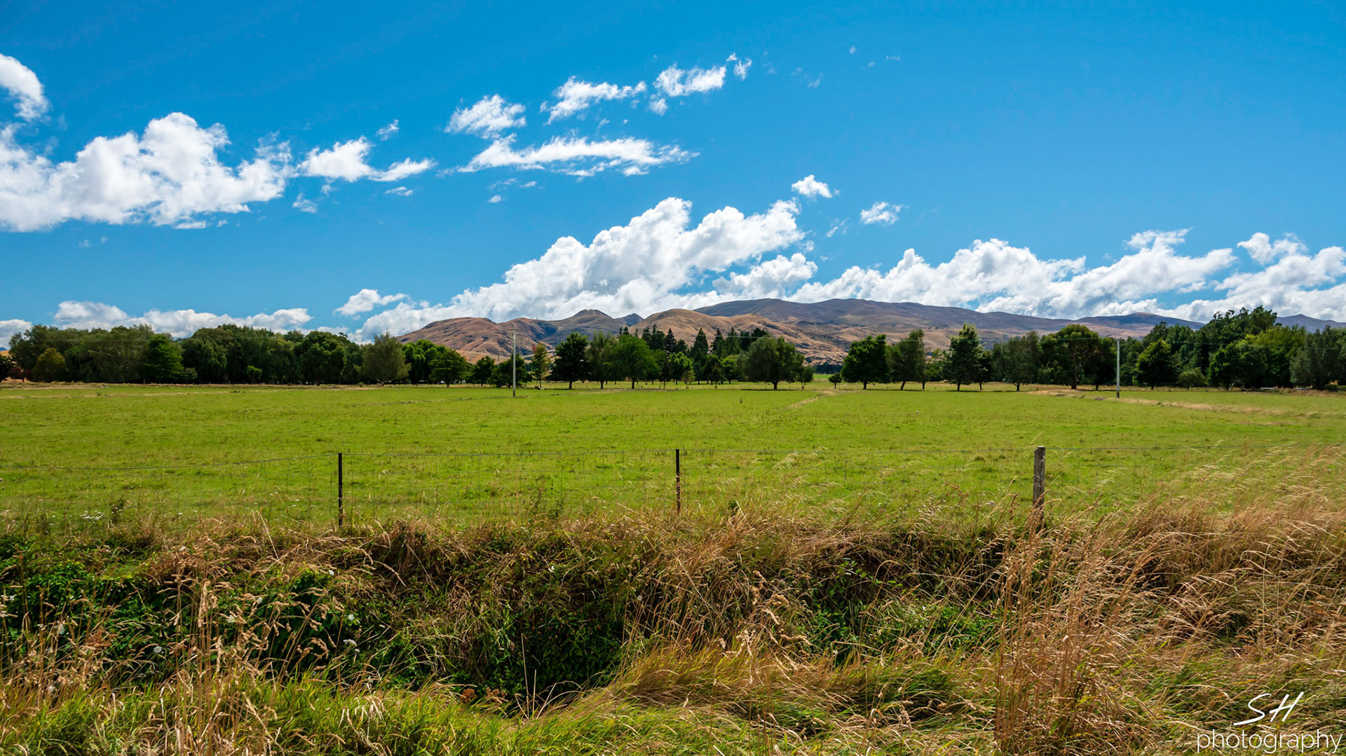Farmland in Central Otago