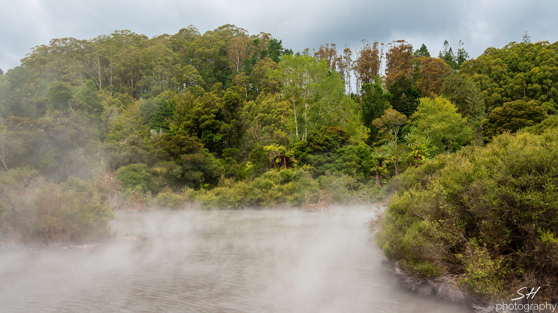 Whakarewarewa Thermal Village