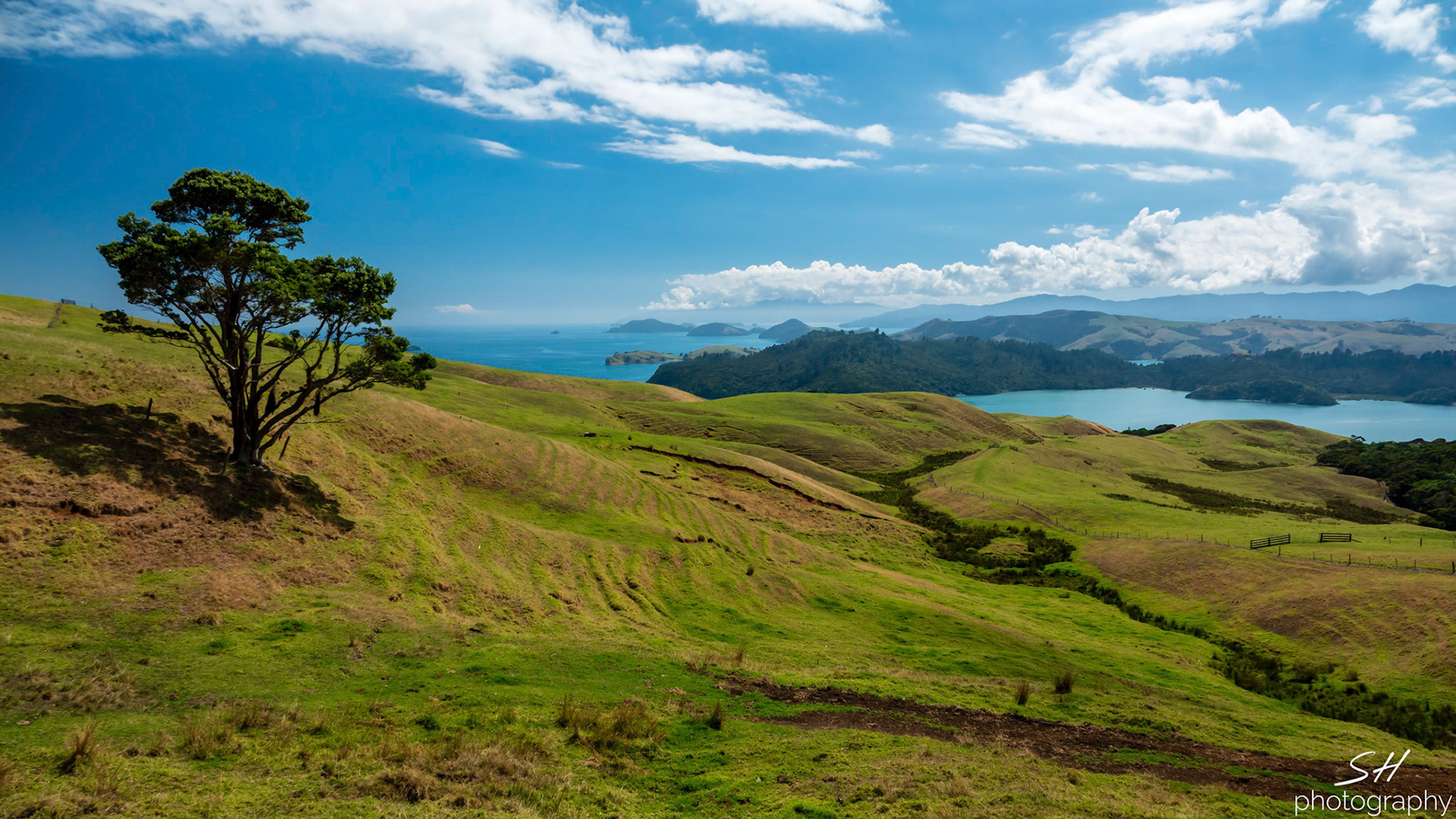 Manaia Road Saddle Lookout