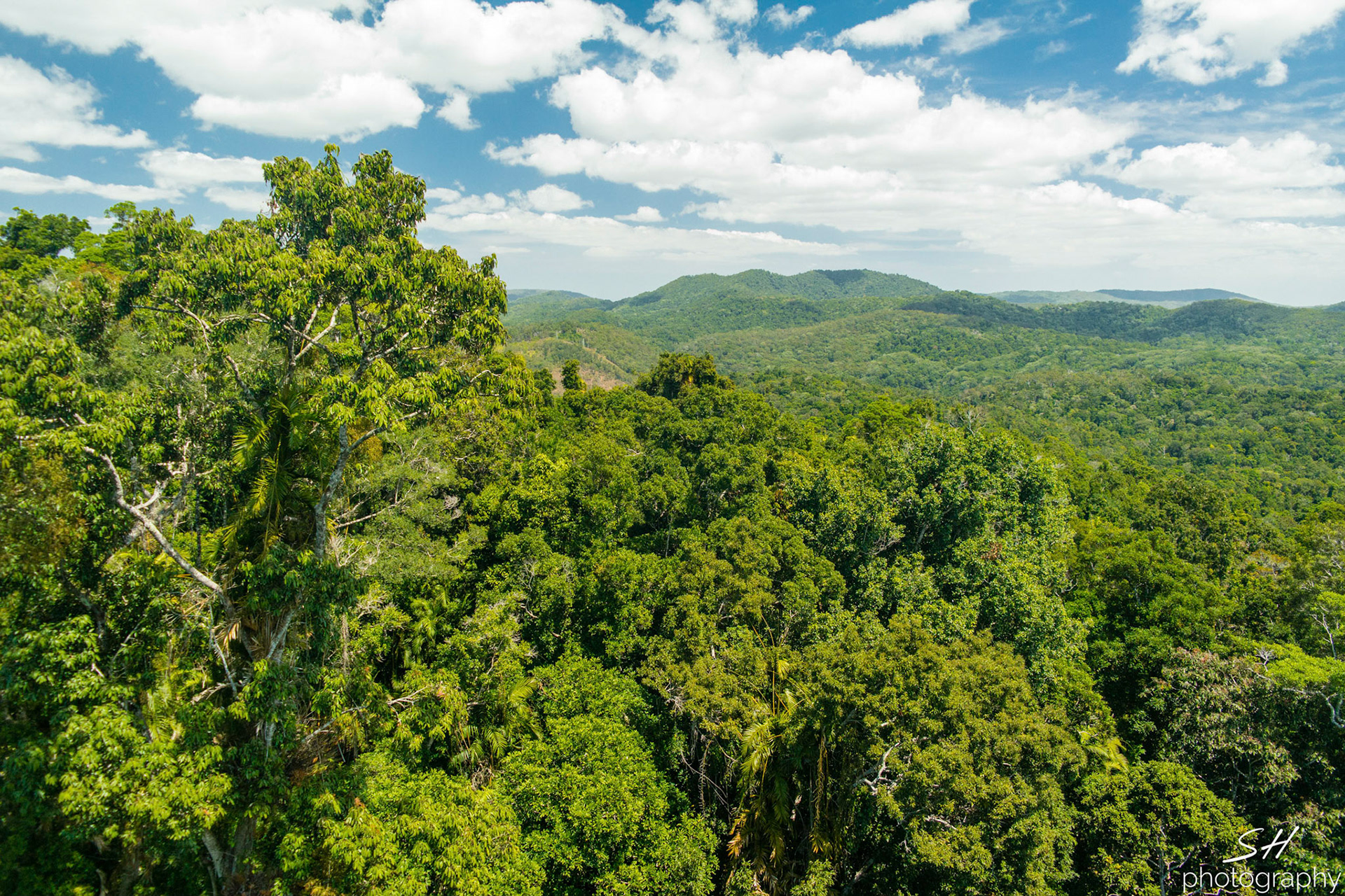 Kuranda Rainforest