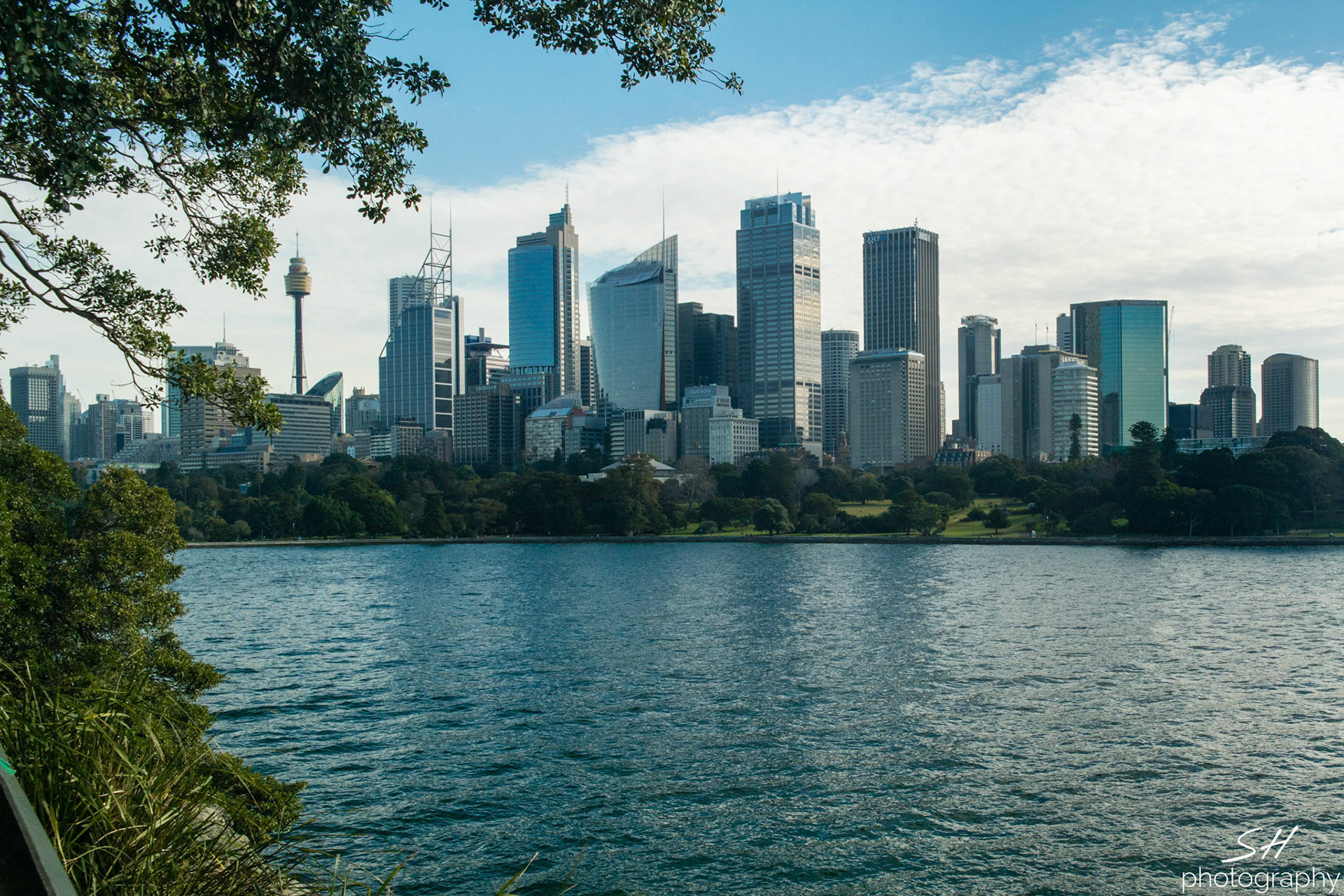Sydney Skyline