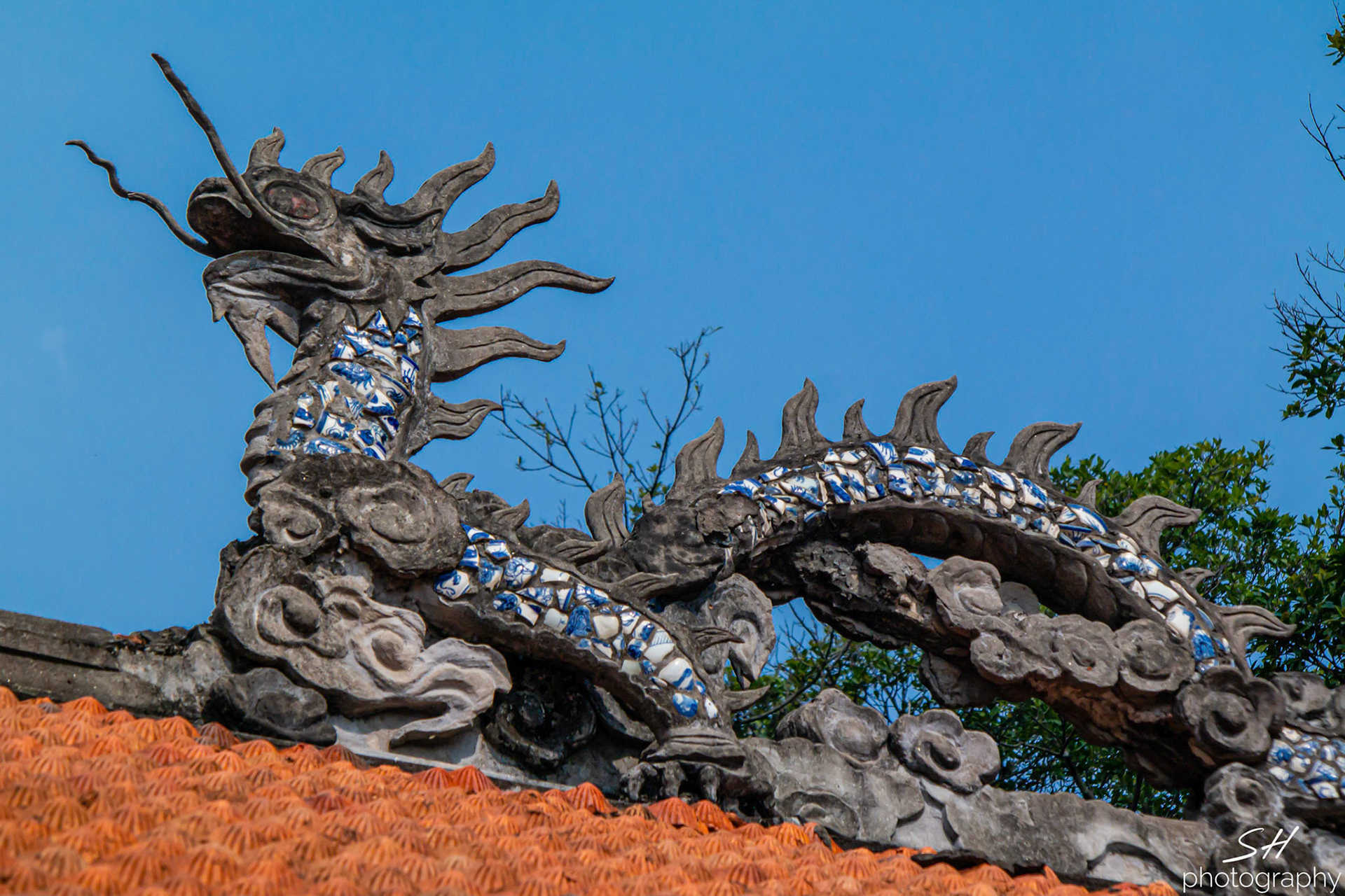 Dragon