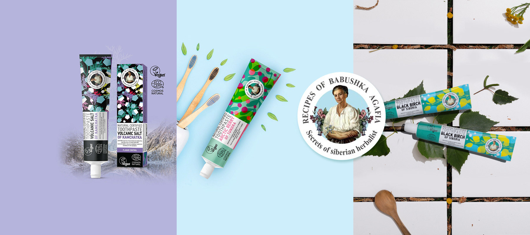 NS Web Banners