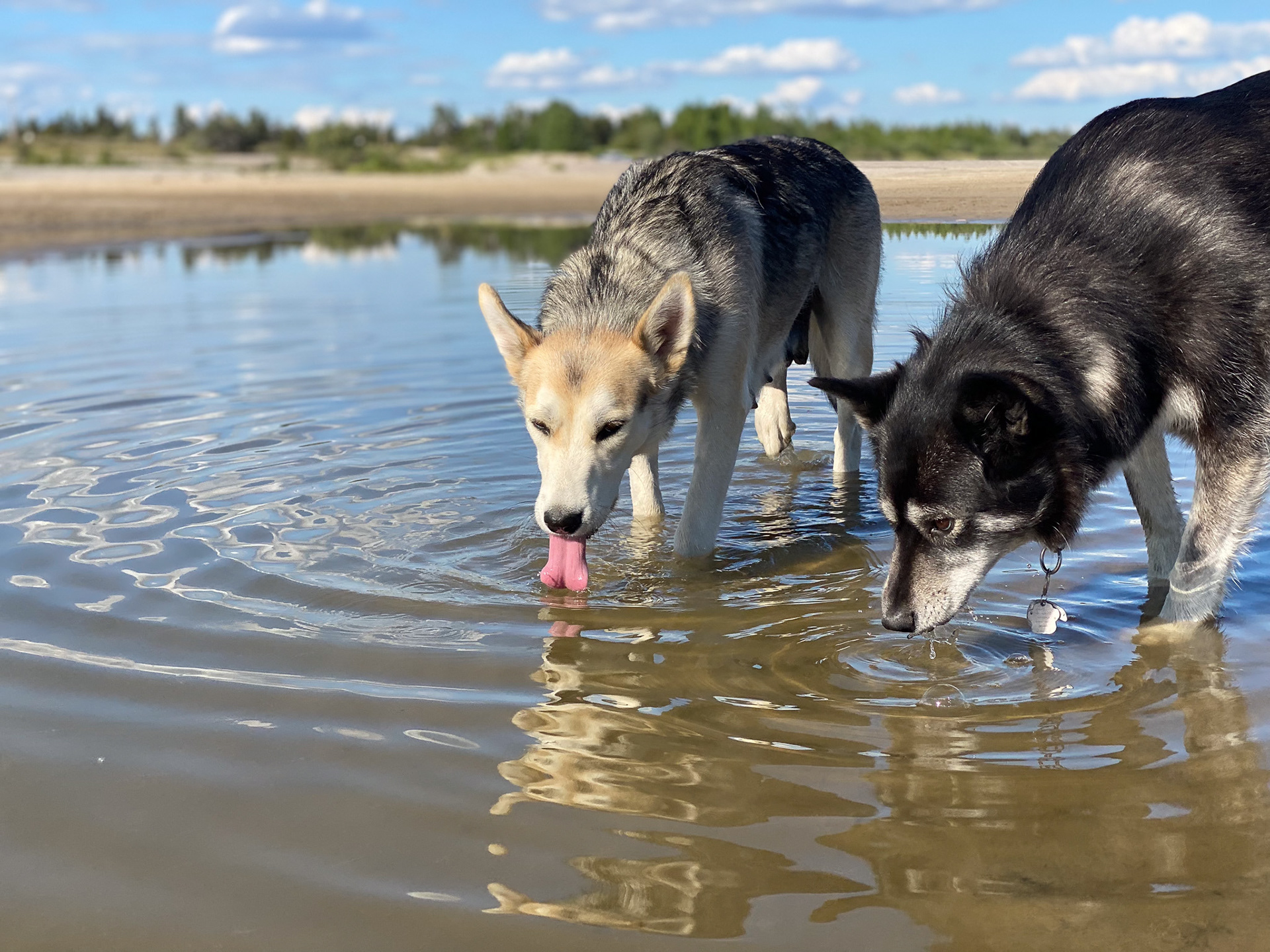 Nova and Naja - Yellowknife, Canada