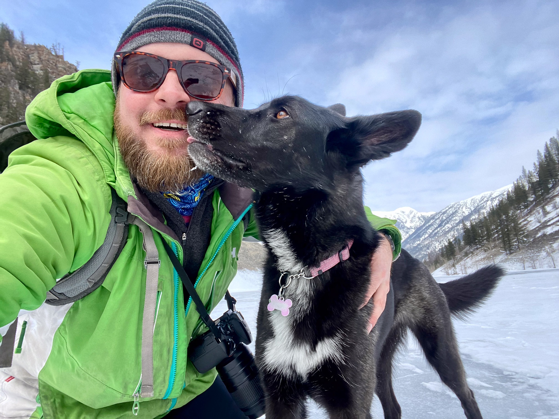 Adventures with foster dog Frankie