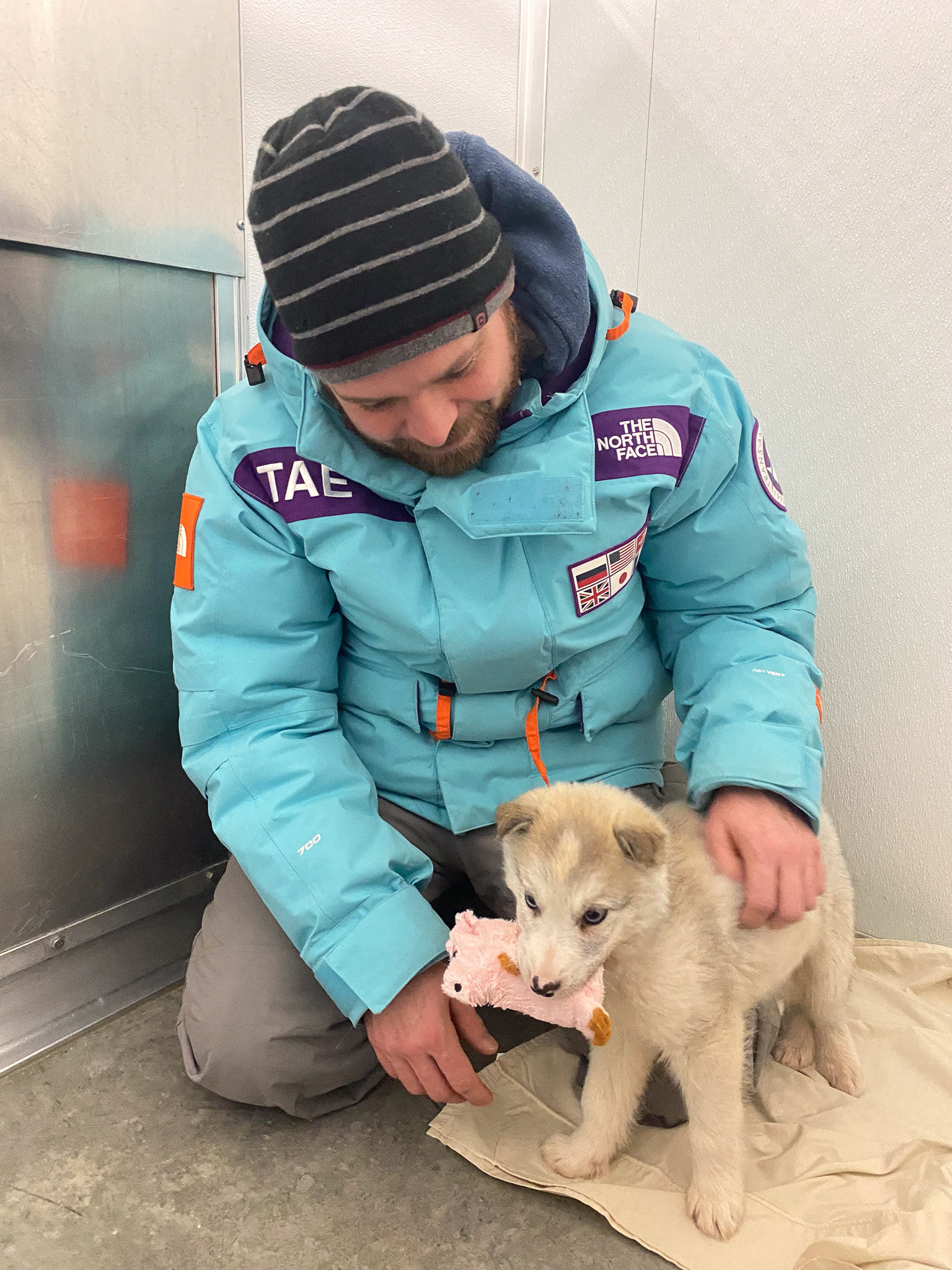 Picking up a foster puppy from NWT SPCA - Yellowknife, NWT