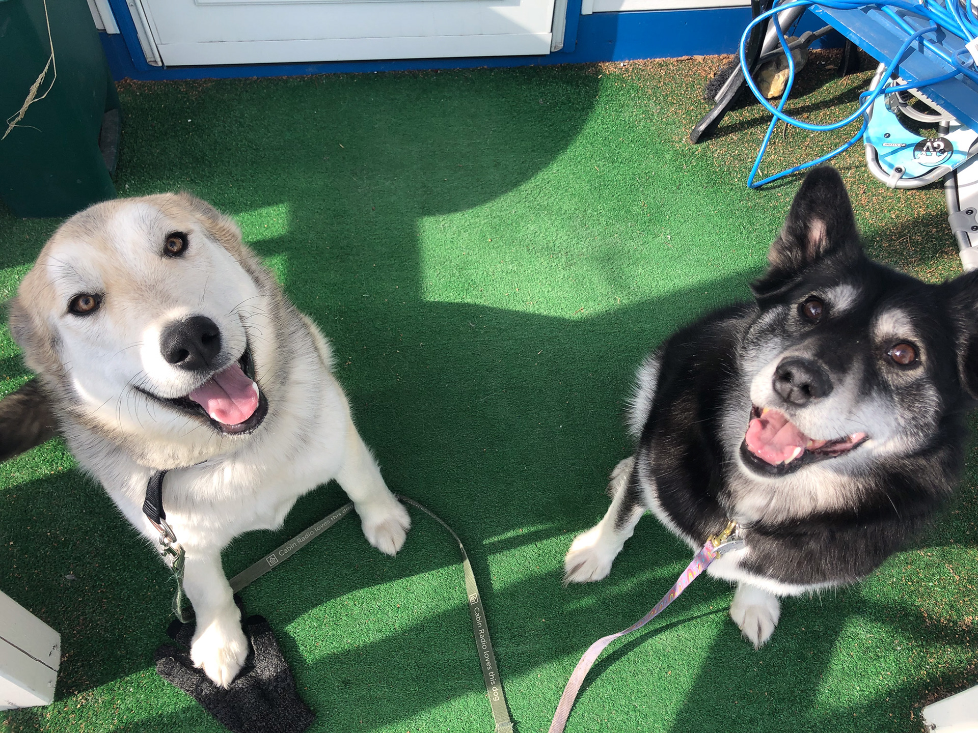 Nova and Naja