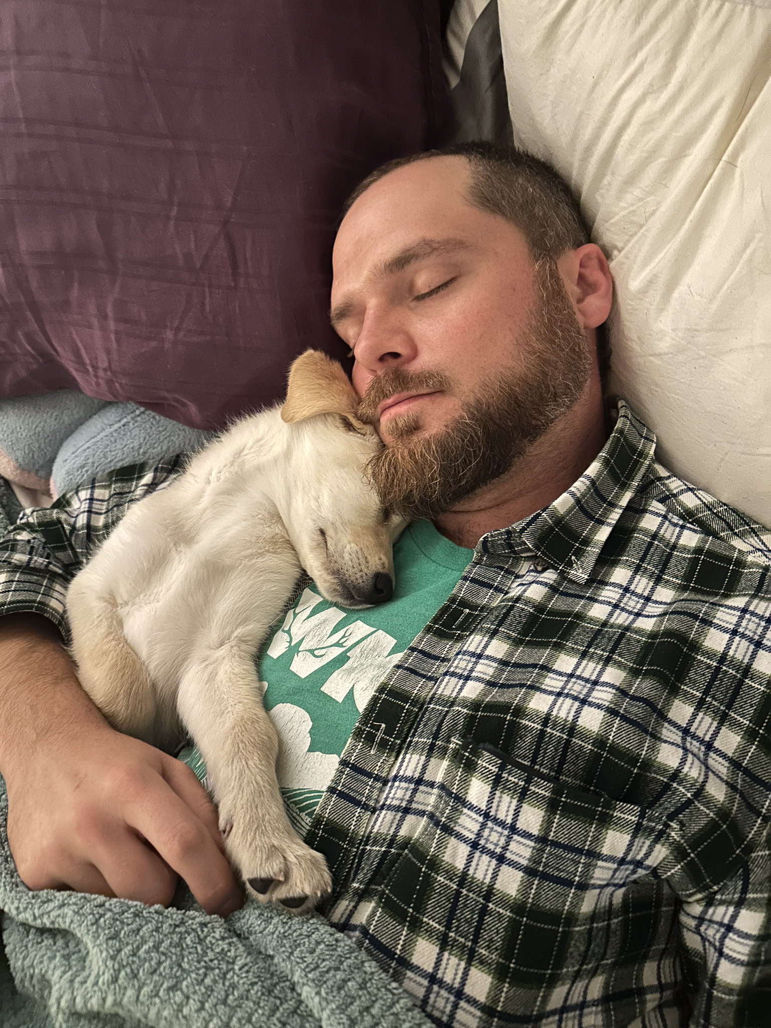 Fostering a puppy with NWT SPCA