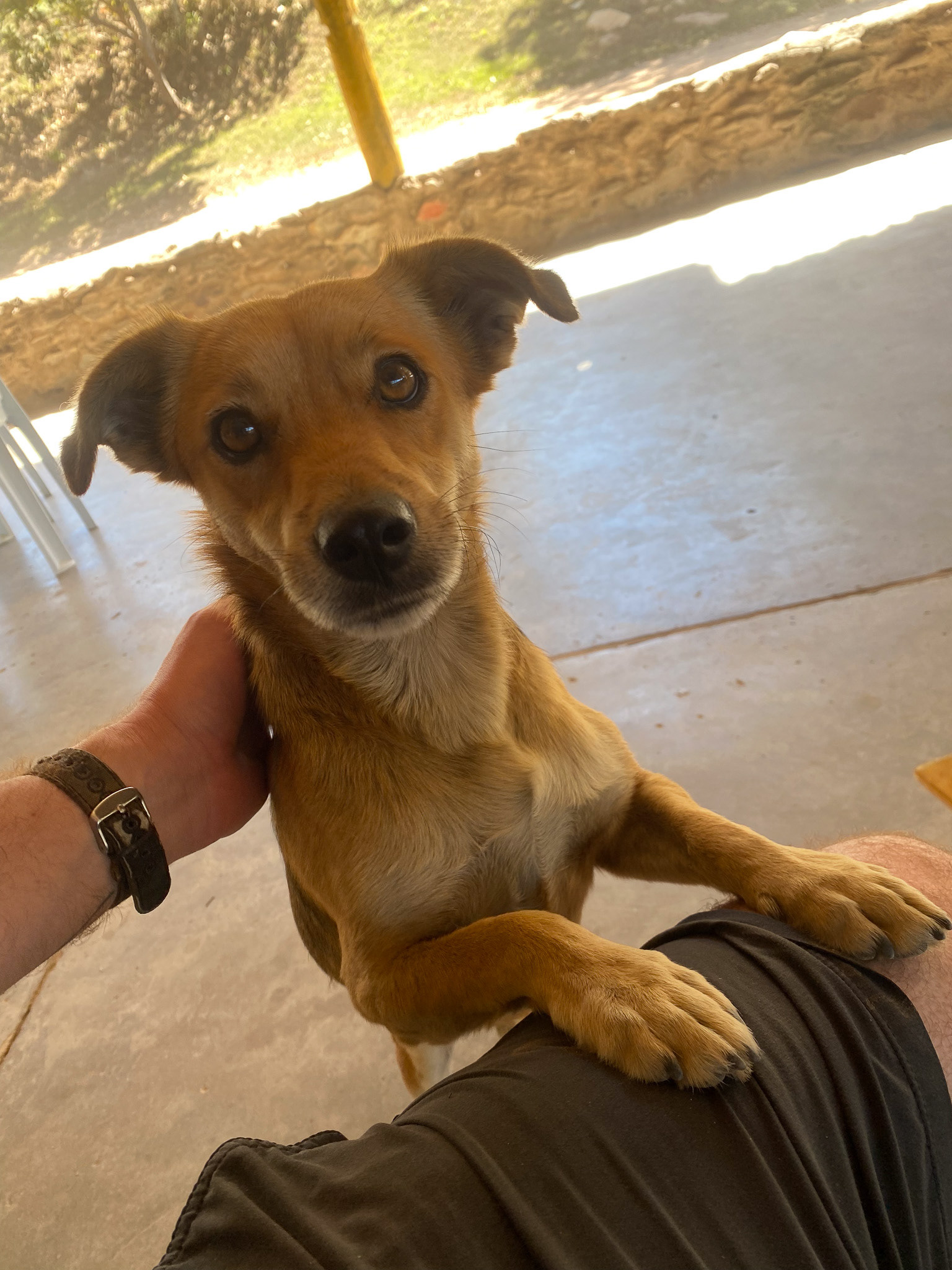 Cavalcante, Goias, Brazil