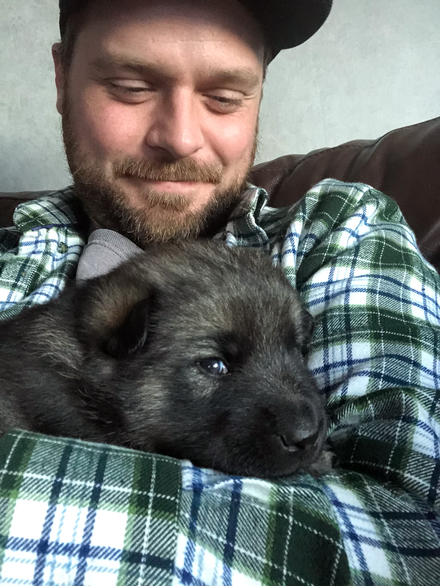 Foster puppy Camila