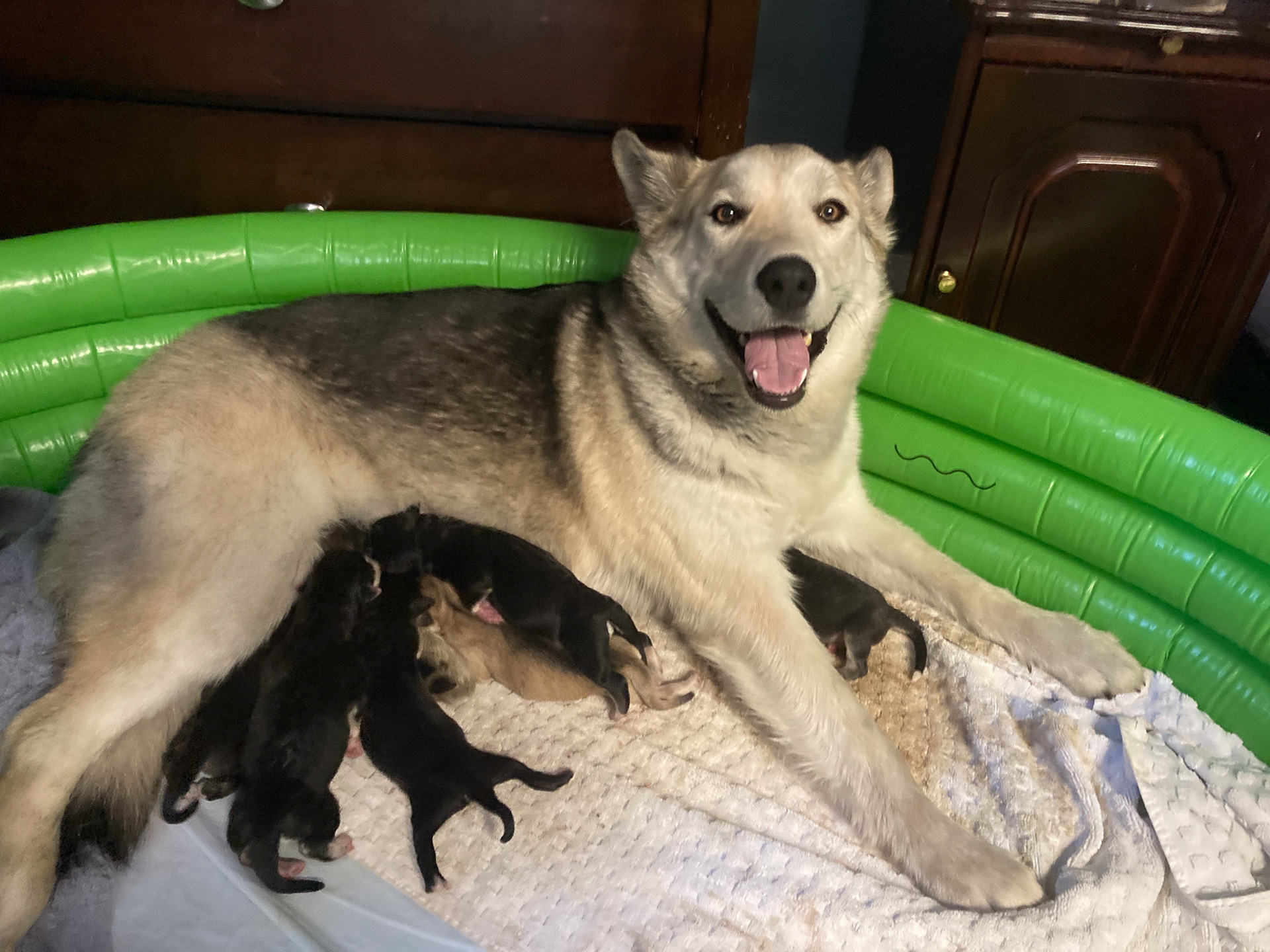 Proud mama Nova