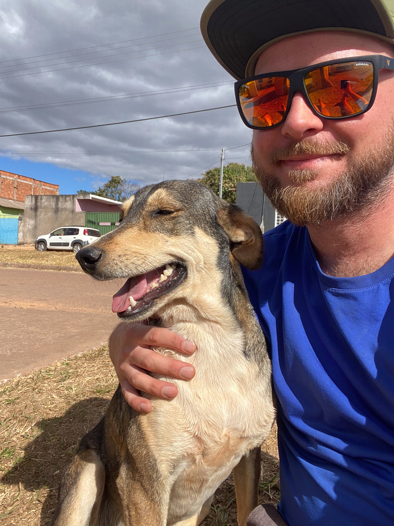 Street dog in Alto Paraiso, Goias, Brazil