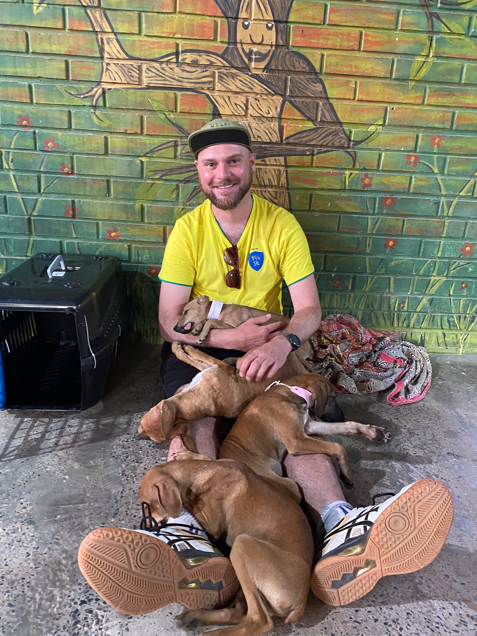 Volunteering at a mobile spay/neuter clinic