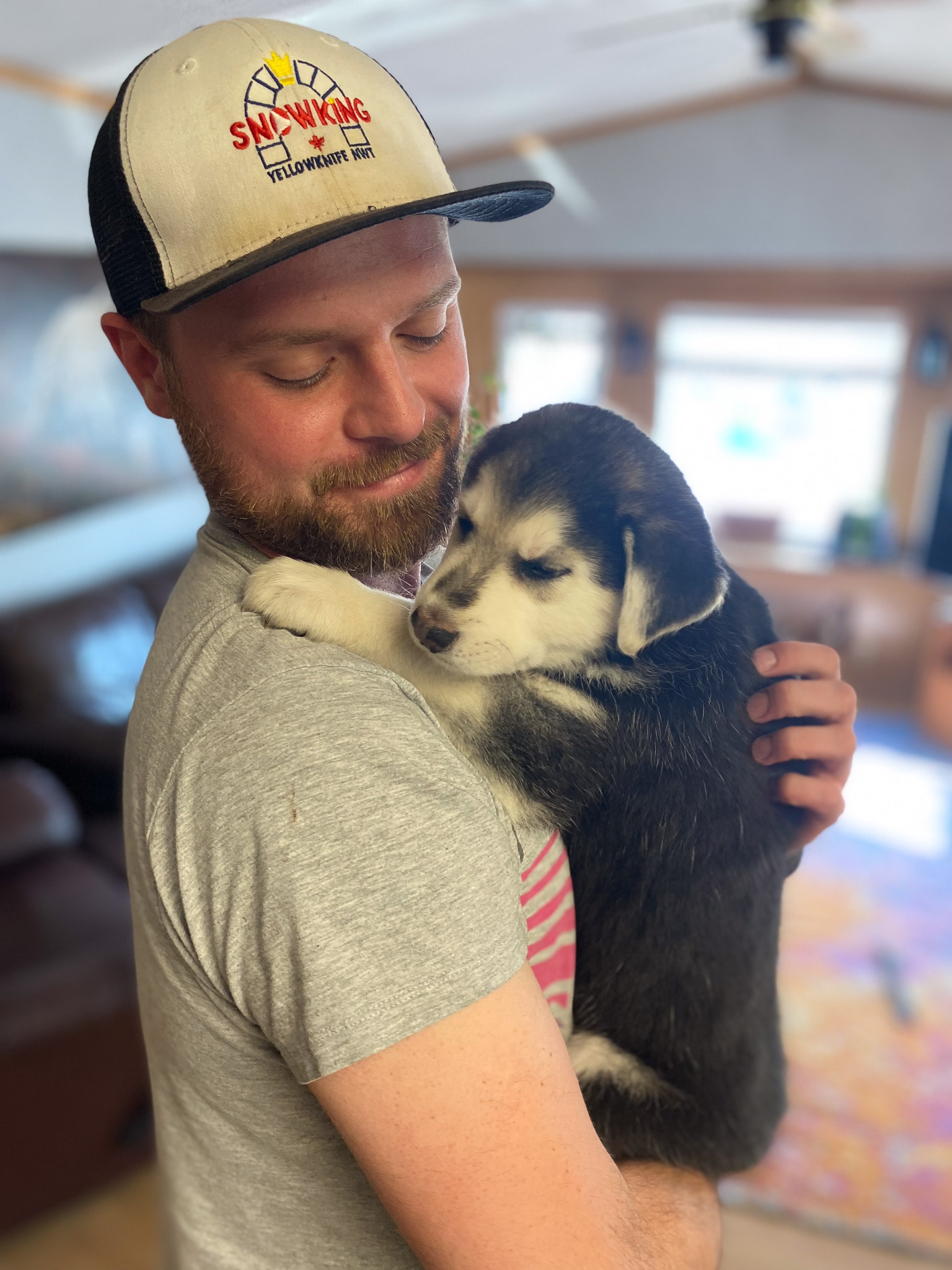 Foster puppy Animal