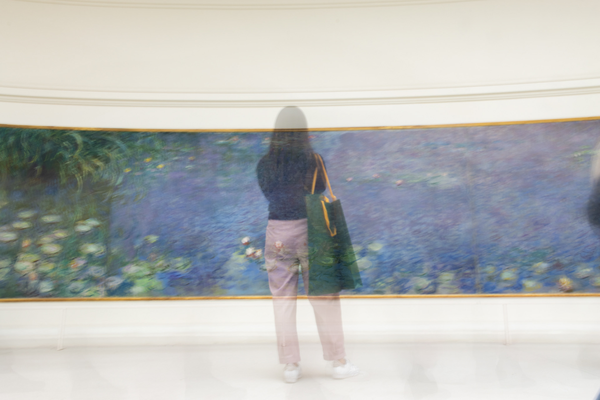 Musée de l'Orangerie , les Nympheas de Monet.