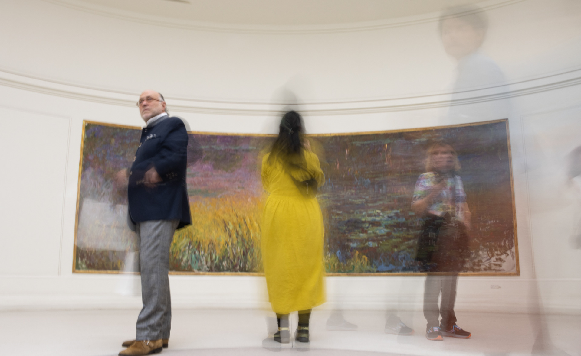 Musée de l'Orangerie , les Nympheas de Monet.
