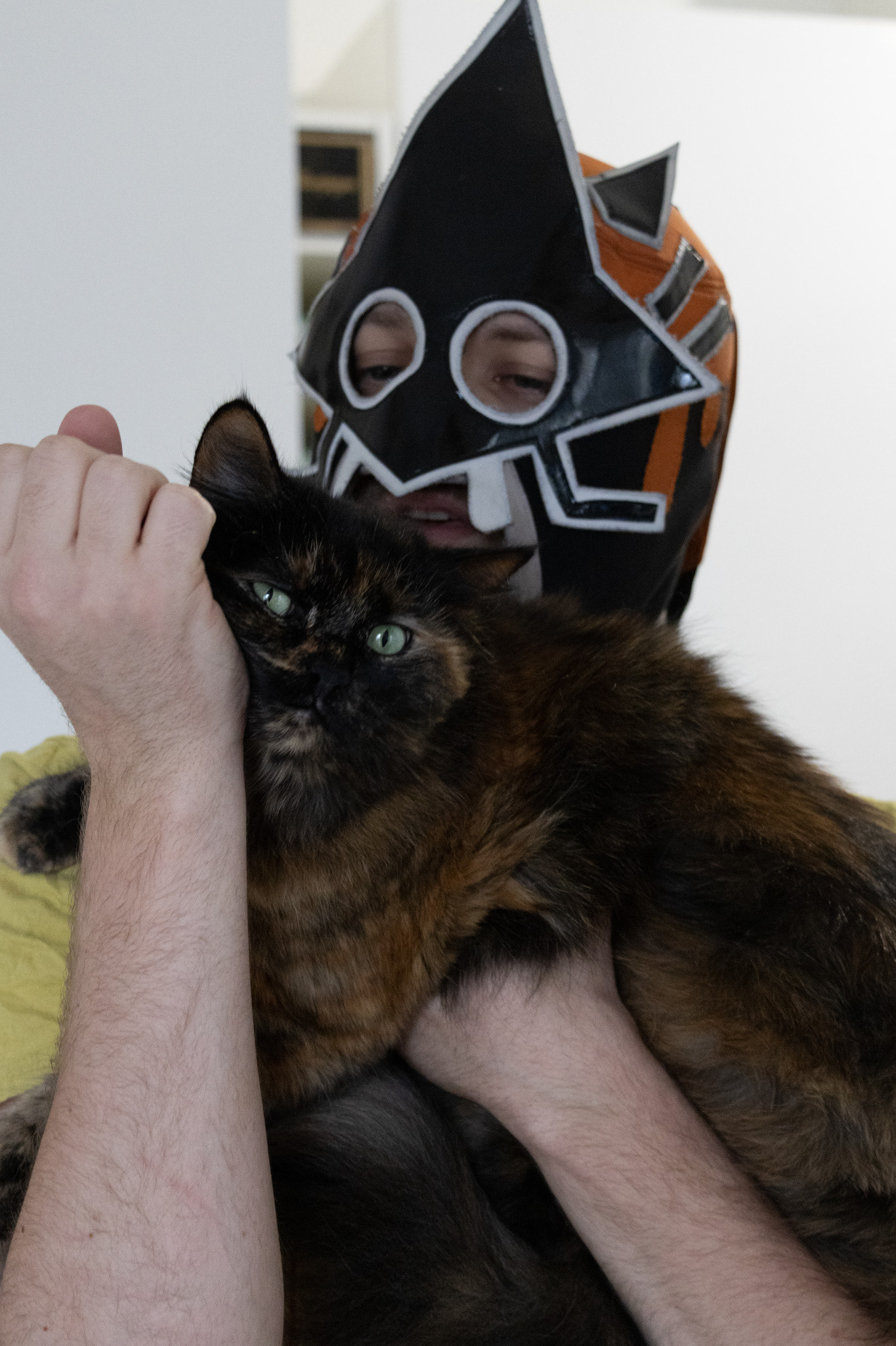 Pétunia, le chat de Ravage, qu'il surnomme aussi "La précieuse", 23 février, FRANCE