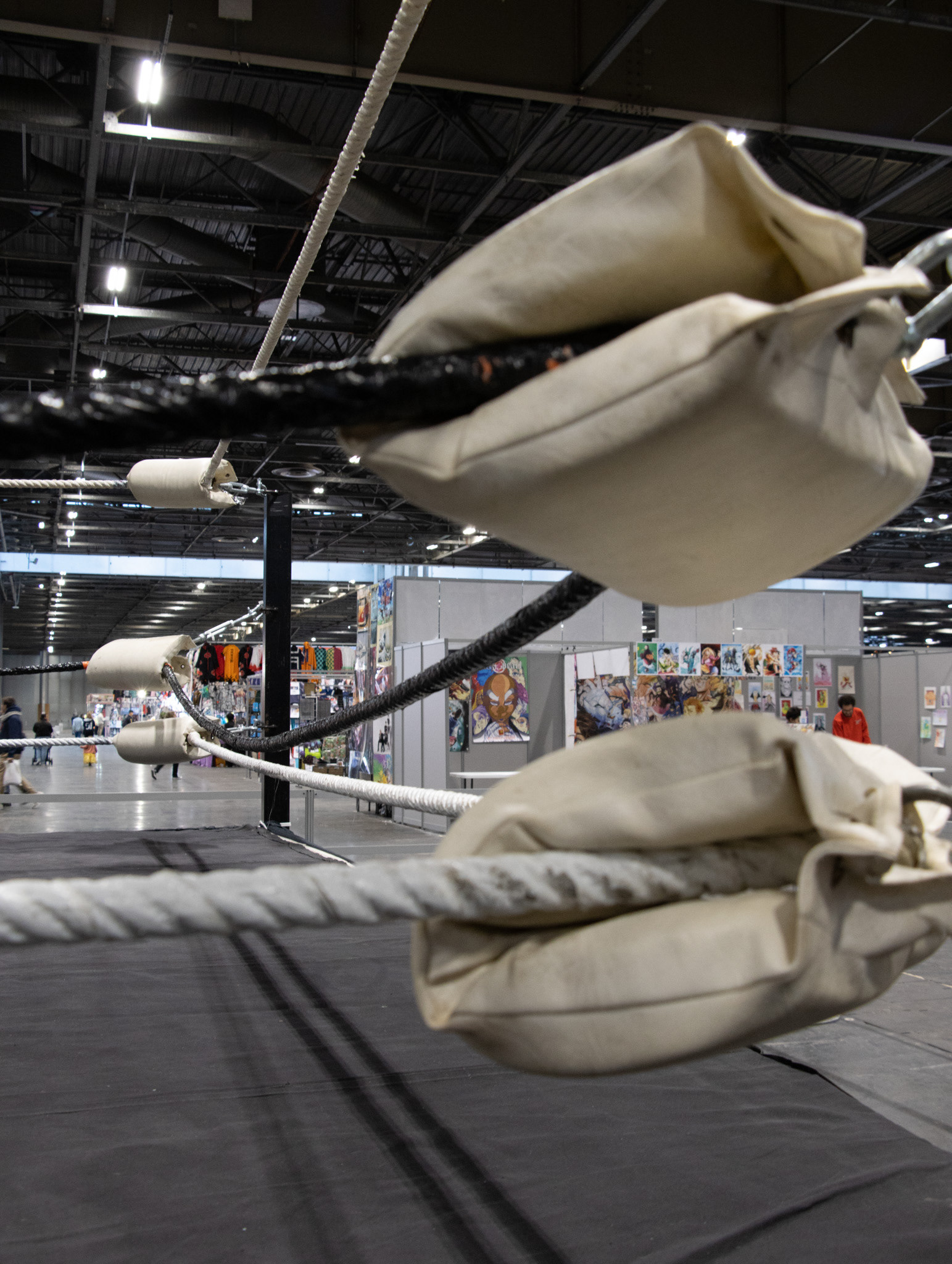 Ring de la Paris Manga du show de Catch avec la fédération ATLAS, 2022