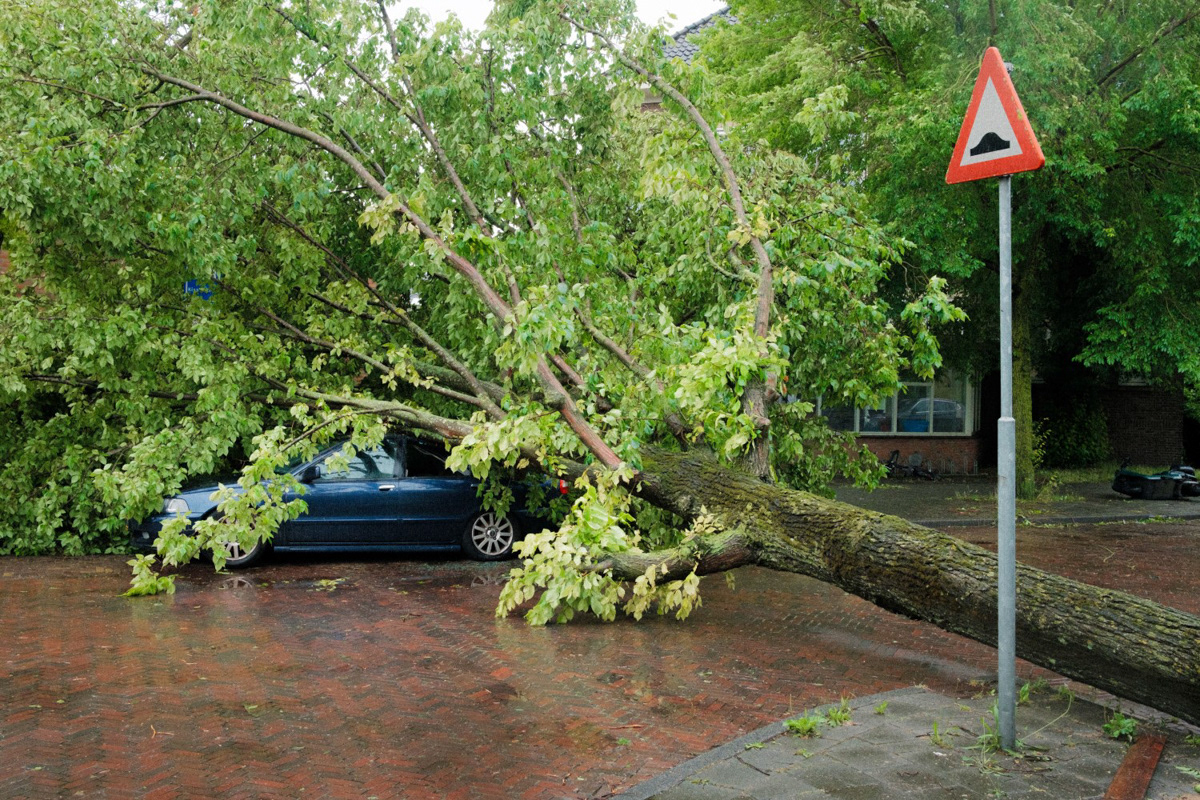 Storm, Haarlem, 2023