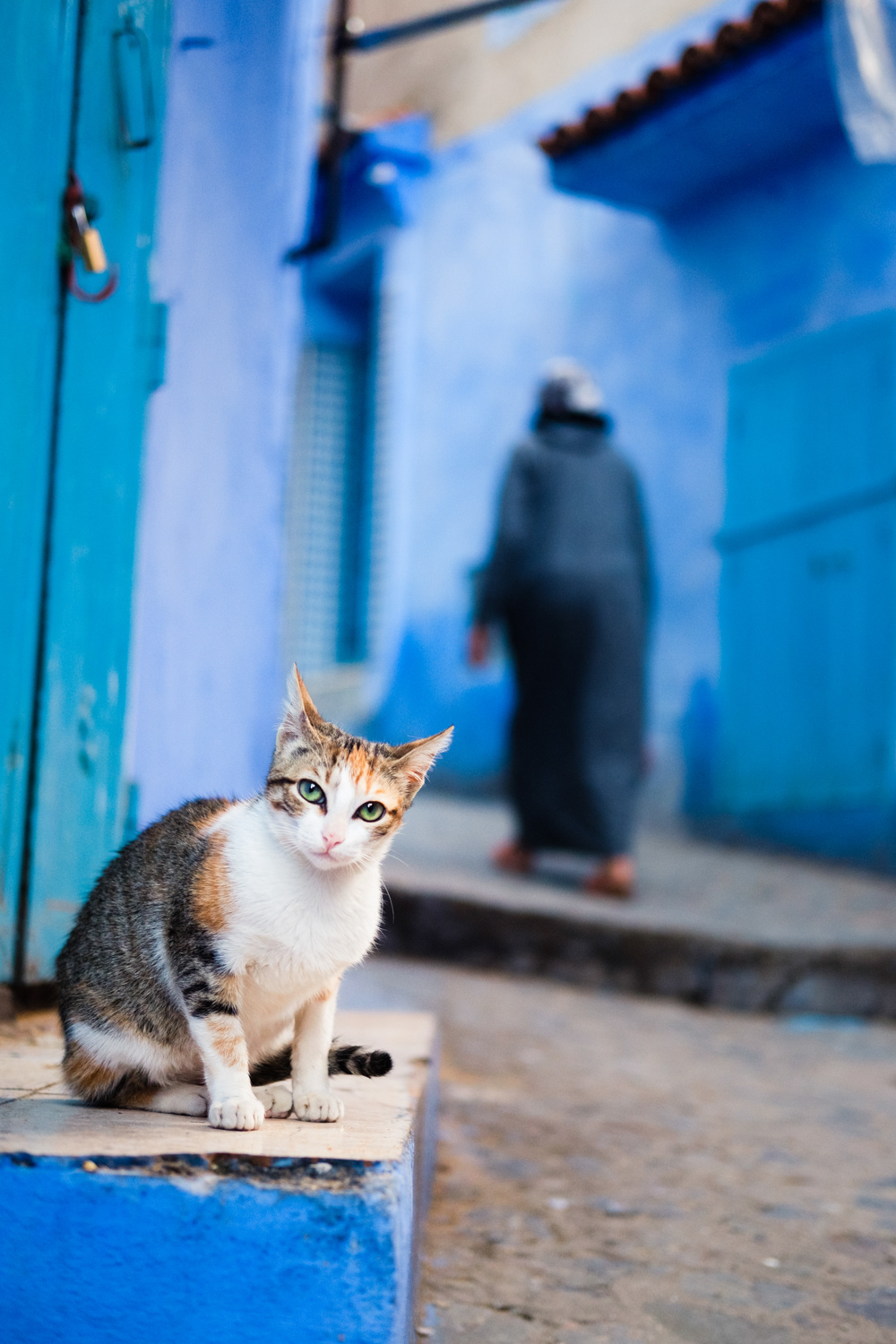 2019-1091 - Untitiled, Chefchaouen