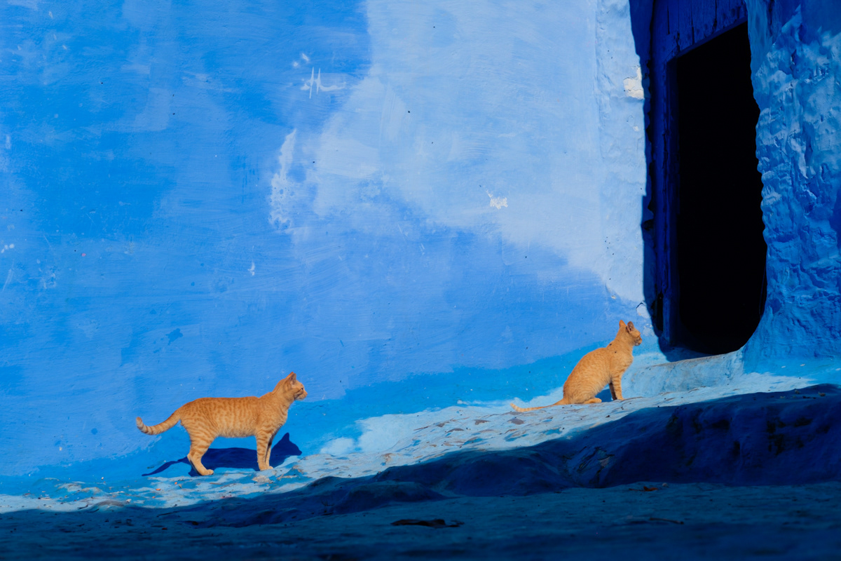 Chefchaouen, 2019