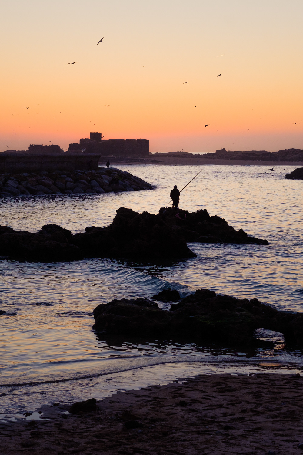 2019-1012 - Untitled, Essaouira