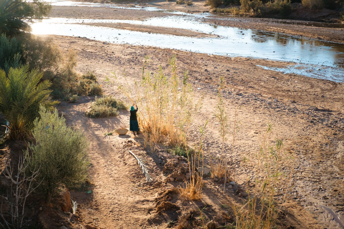 Woman collecting reeds in the Moroccan Atlas mountains, 2019