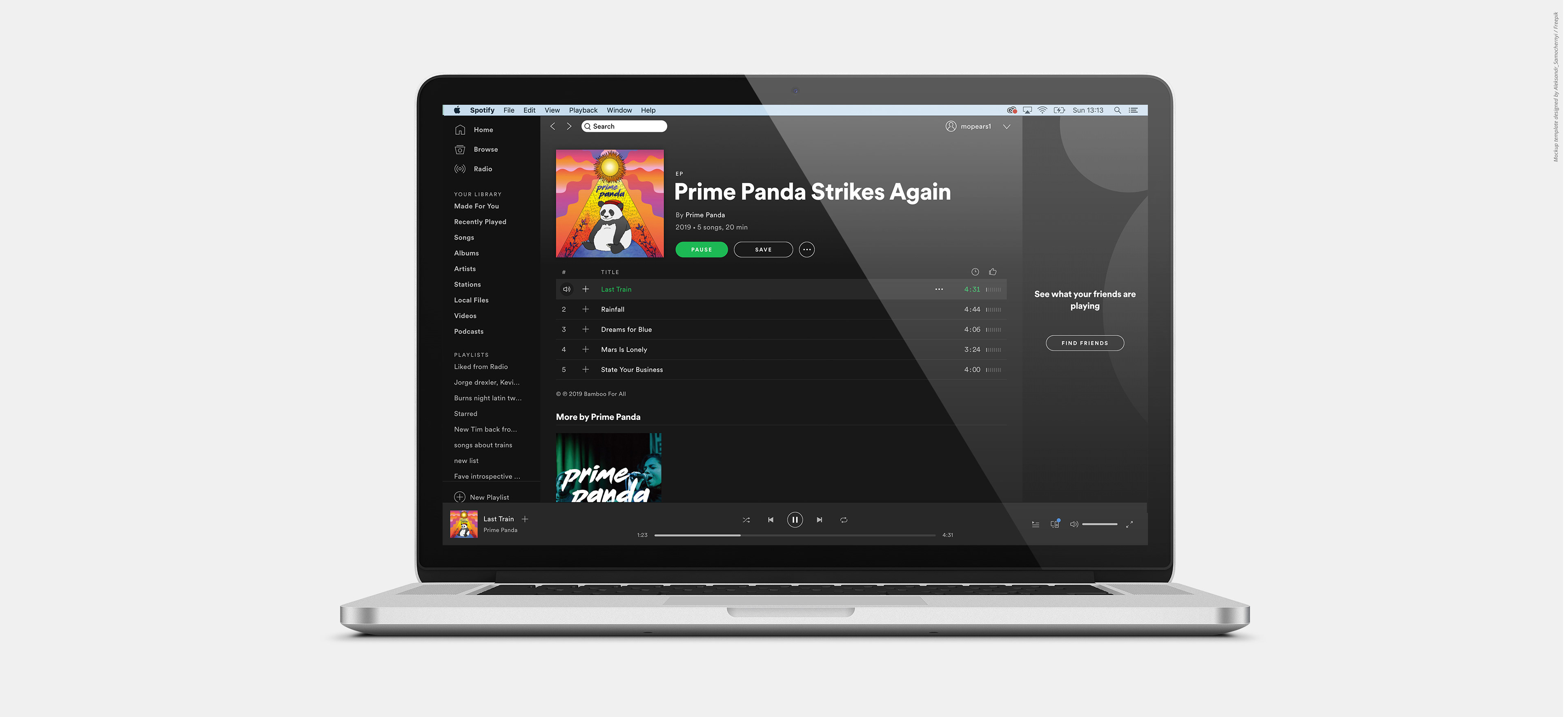 Photo of laptop browsing Prime Panda's Spotify featuring the album cover