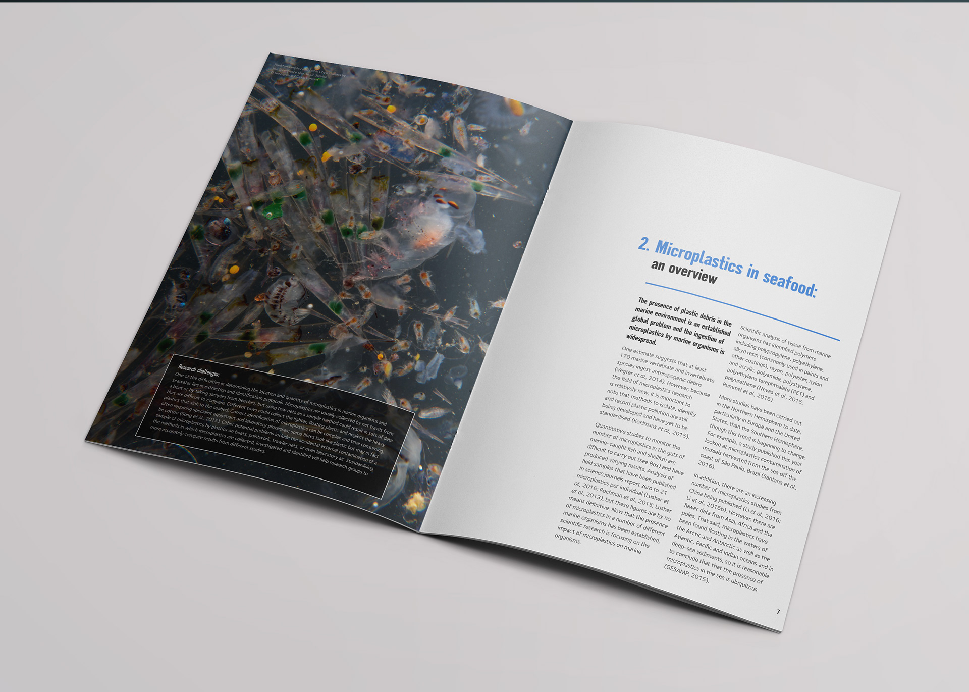 Report open showing internal layout 1