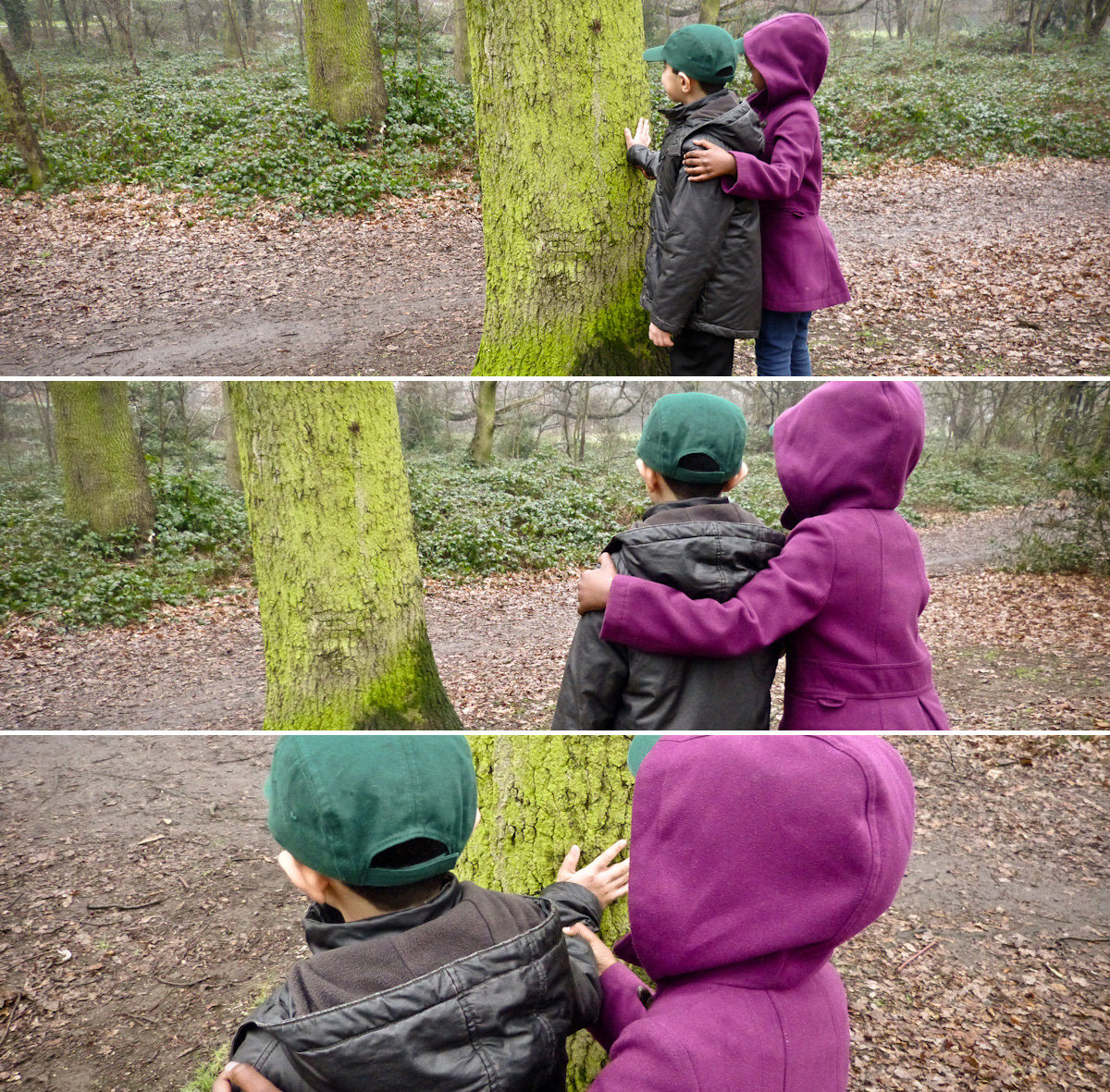 Photographs of a child guiding their friend to touch a tree