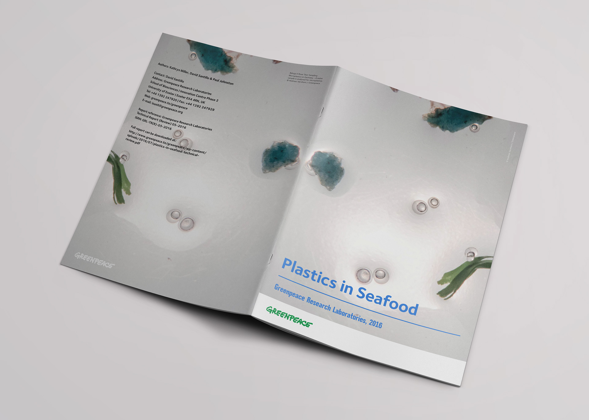 Report open showing cover and back cover