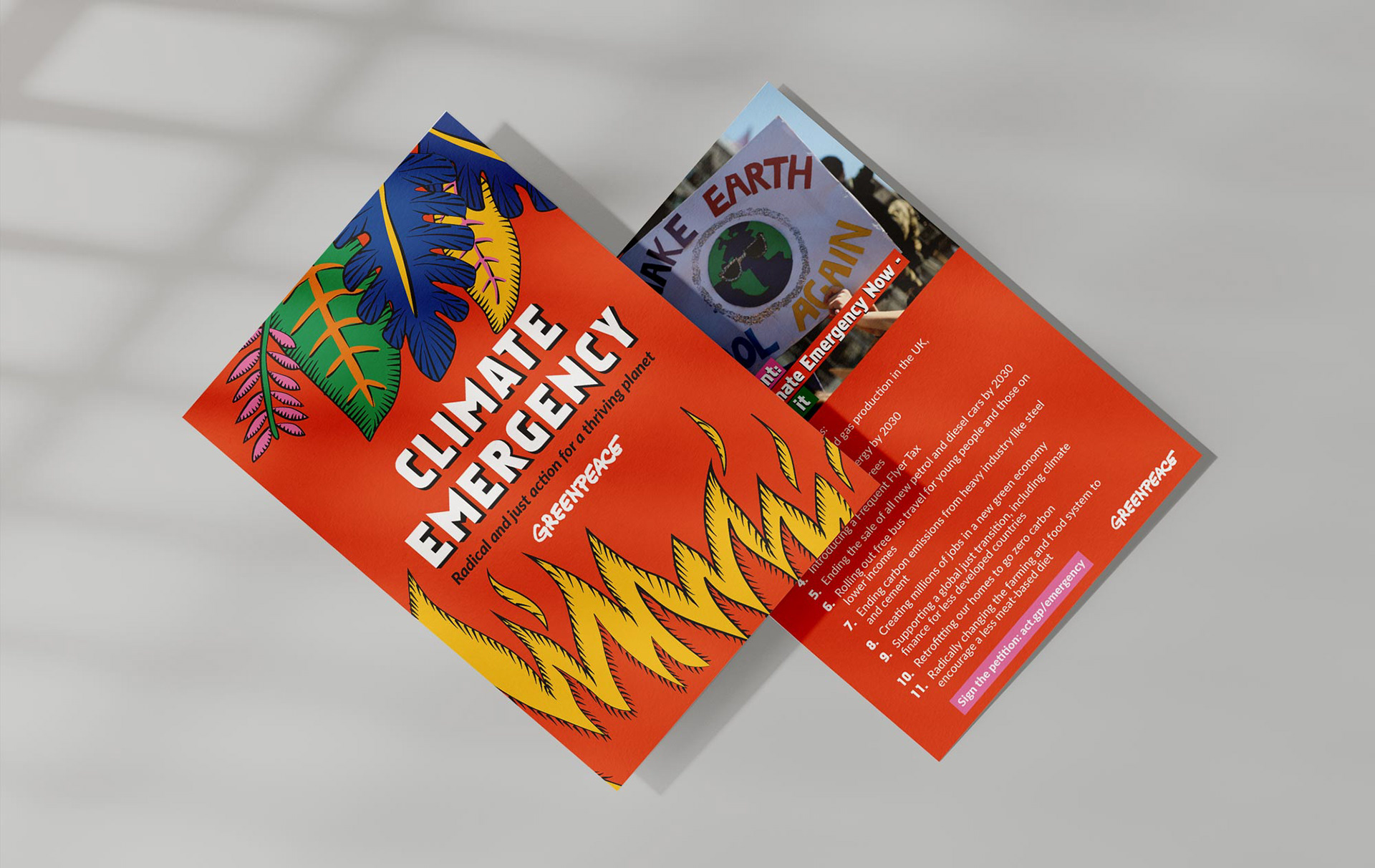 Climate Emergency leaflet