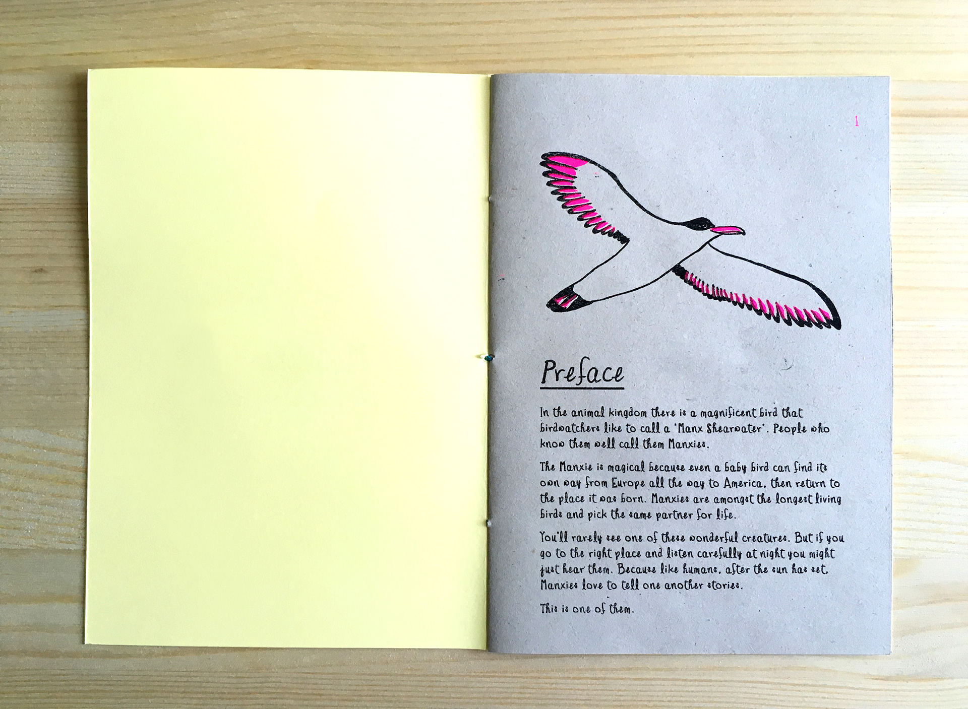 The Manxie's Secret first page - an illustration of a Manx Shearwater flying