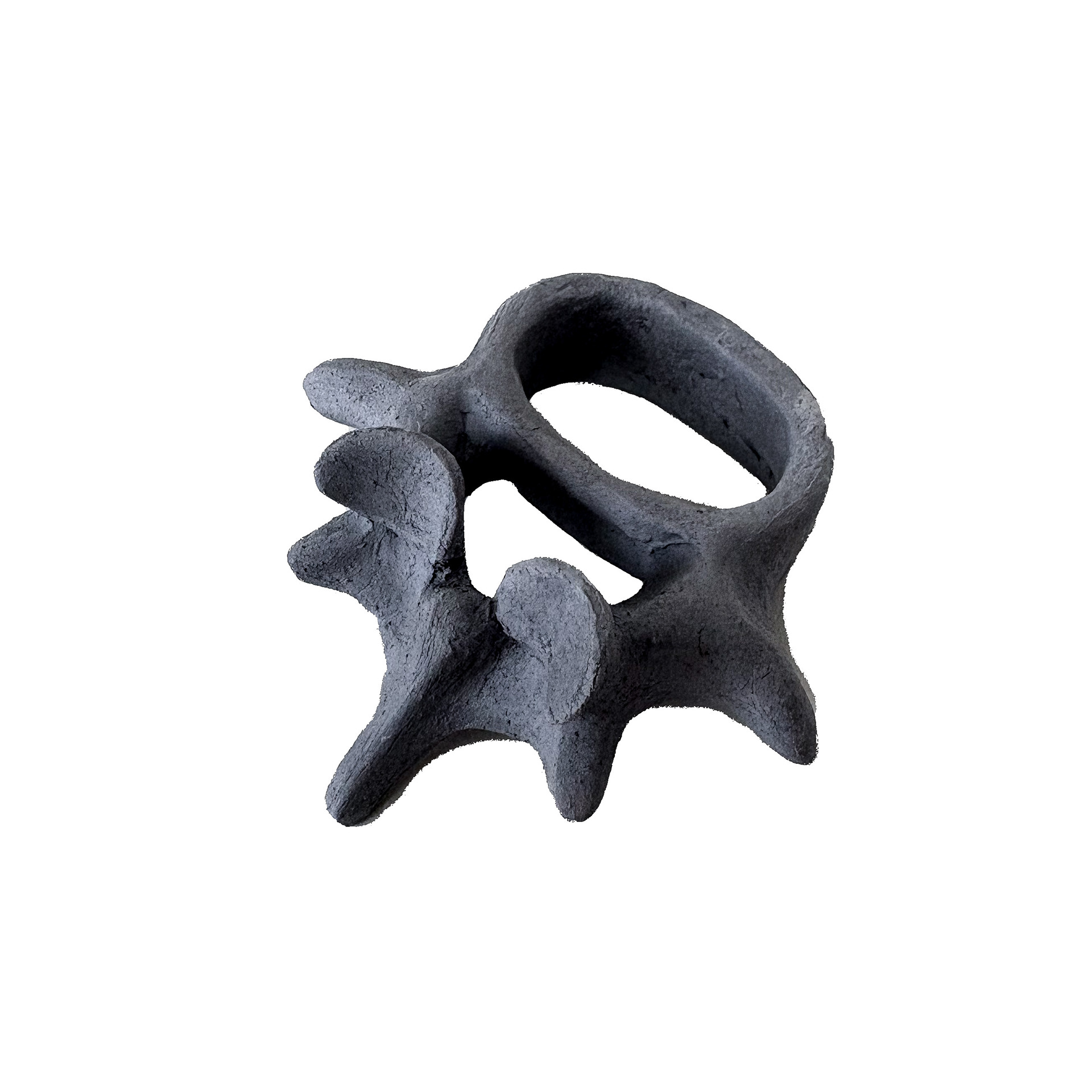 Spinal vertebra, black porcelain, 2025 (unfired)
