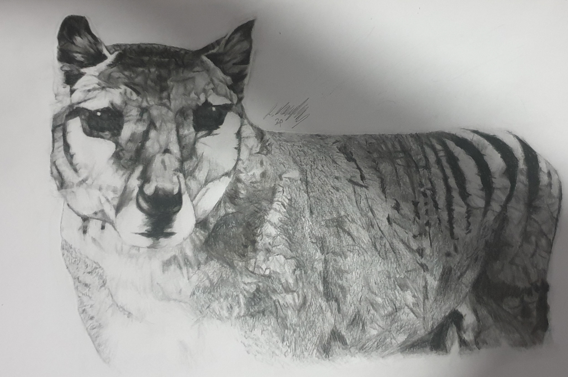 Pencils