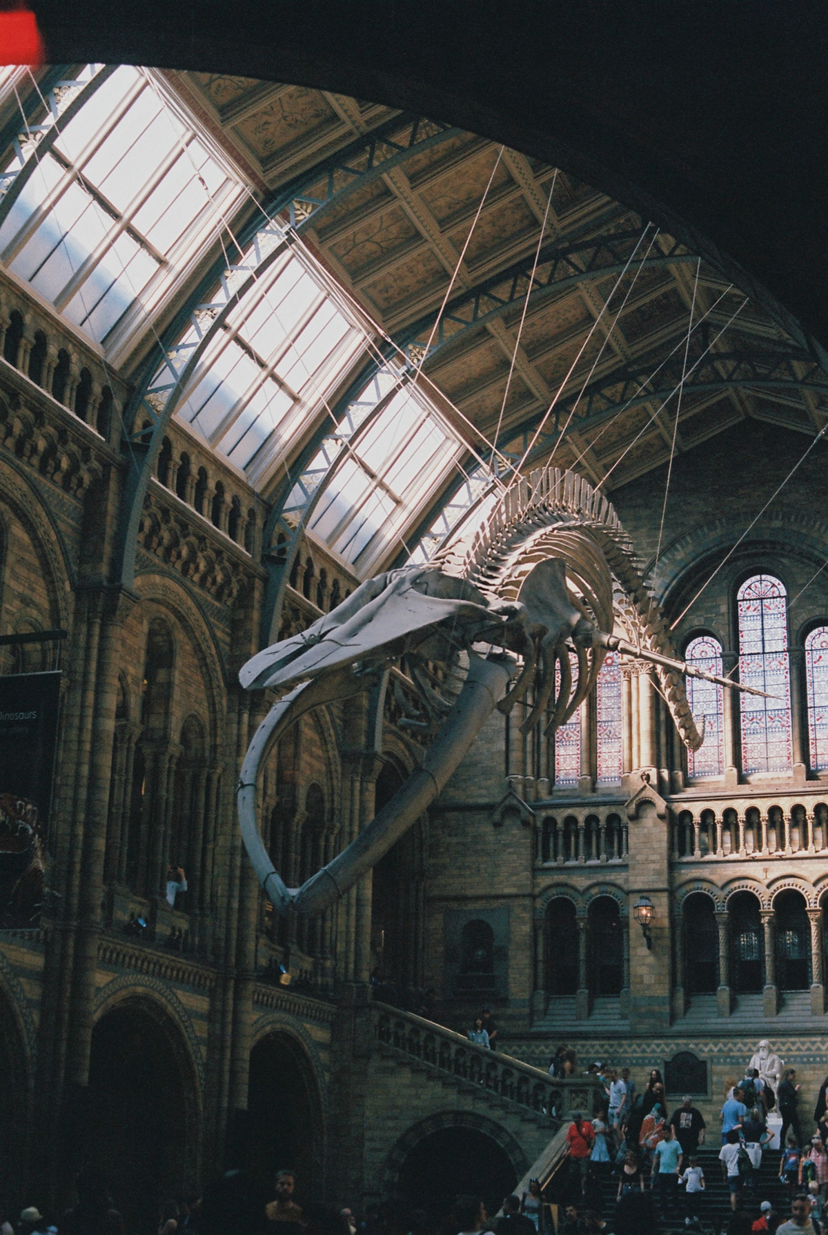 Processed with VSCO with  preset