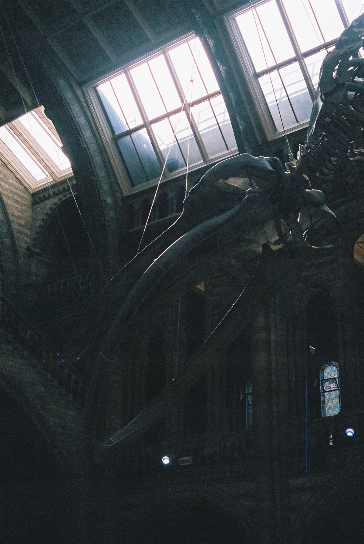 Processed with VSCO with  preset