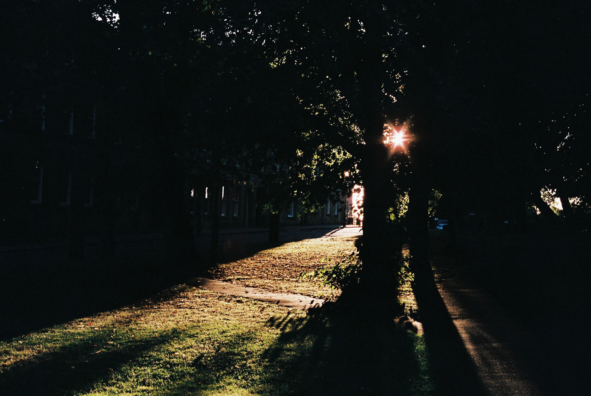 Processed with VSCO with  preset