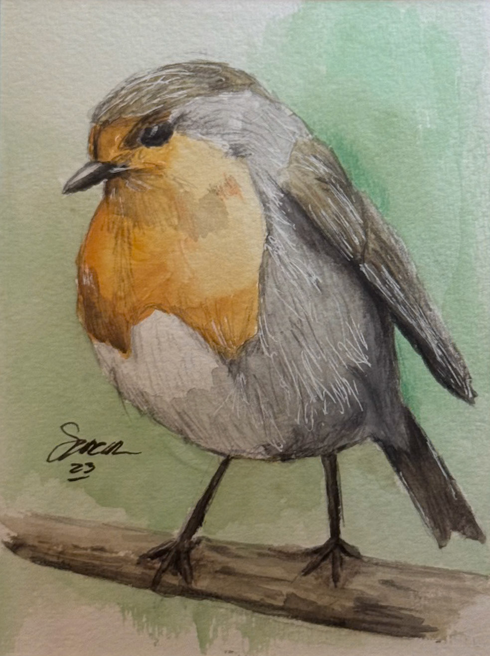 Coloured Pencils