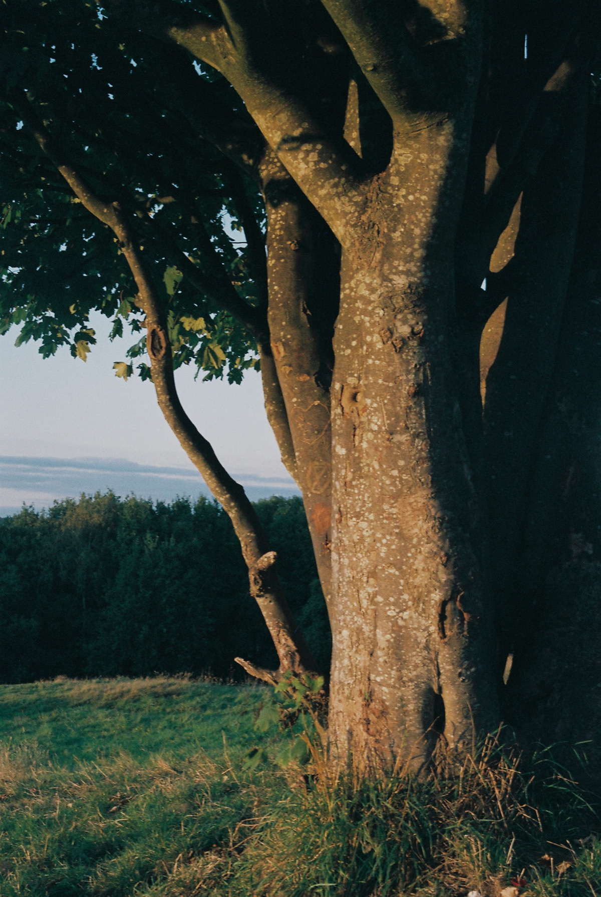 Processed with VSCO with  preset